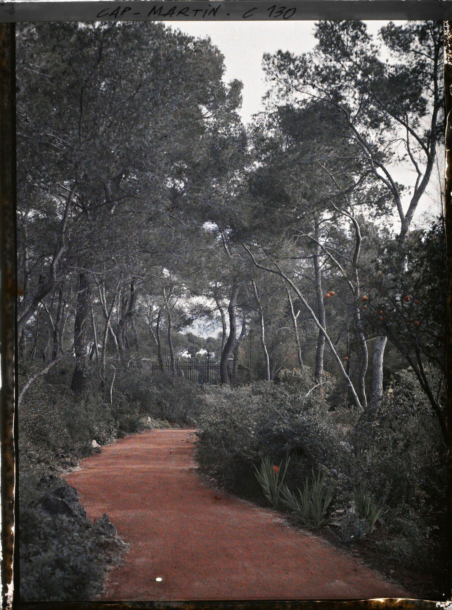 Image représentant Vue de l'allée près de l'entrée