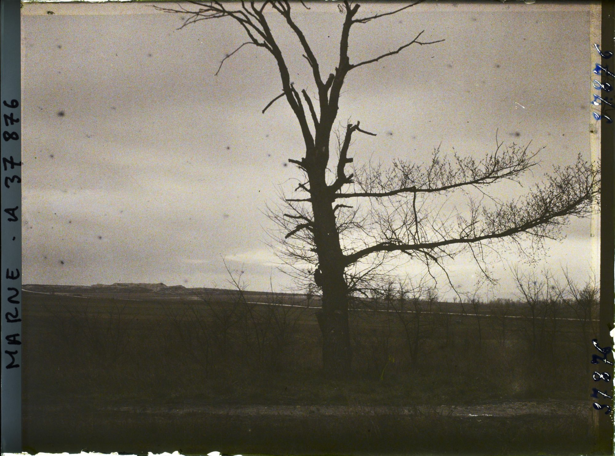 Image représentant France, La Pompelle, Fort de la Pompelle vu de l'Allée noire