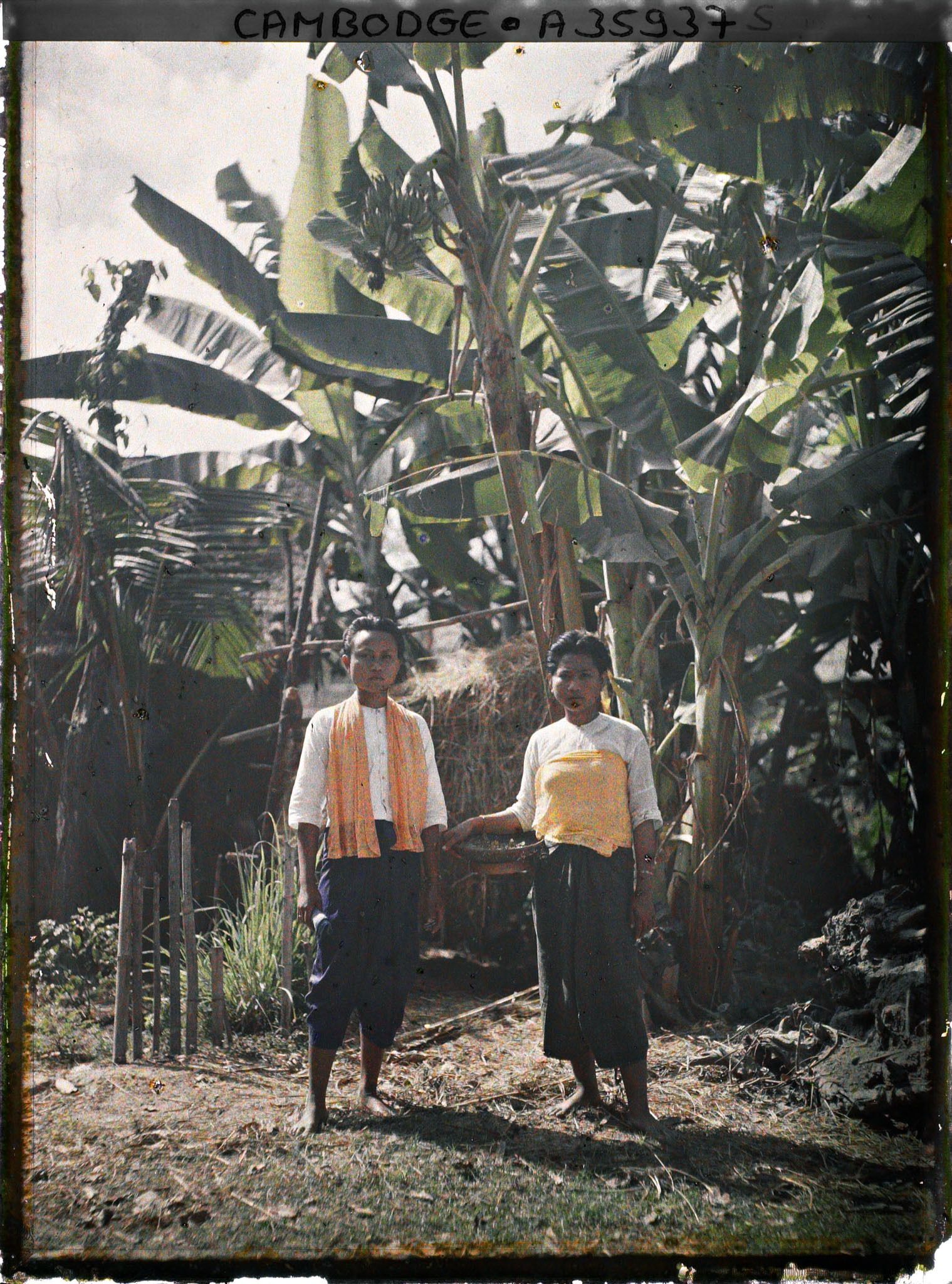 Image représentant Deux femmes sur fond des bananiers