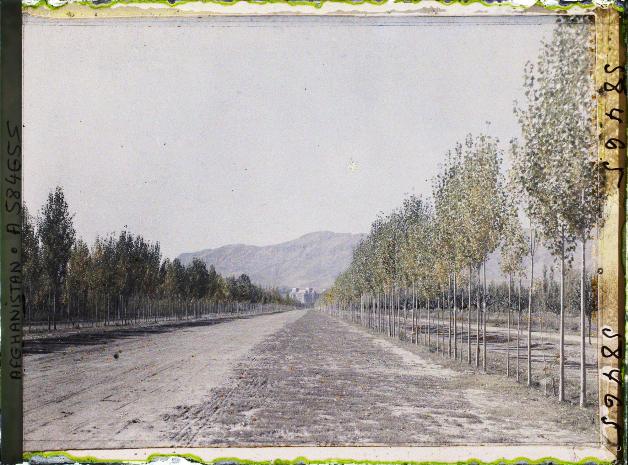 Image représentant L'avenue reliant Kaboul à Dar-Ul-Aman (actuel boulevard Dar-Ul-Aman, vers la nouvelle capitale)