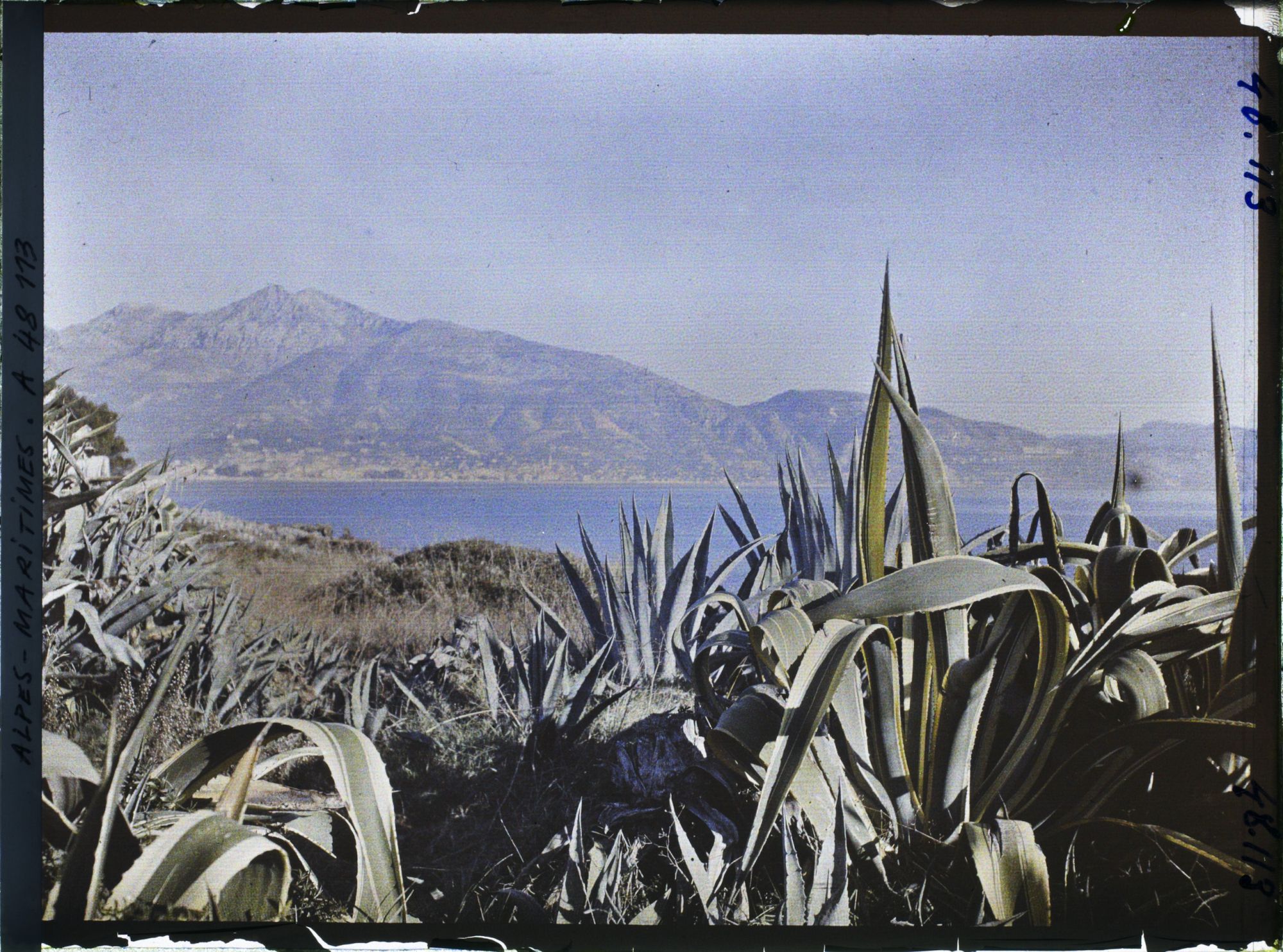 Image représentant Panorama sur Menton, vu depuis le rivage du cap Martin parsemé d'agaves