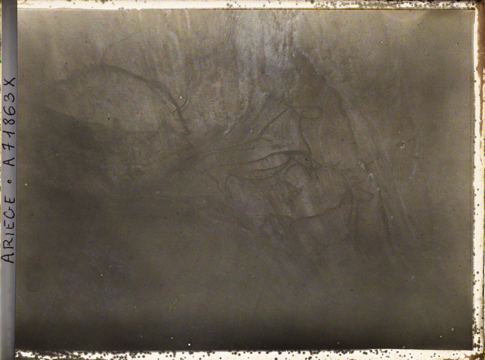 Image représentant Grotte de Niaux : quatrième panneau, partie droite