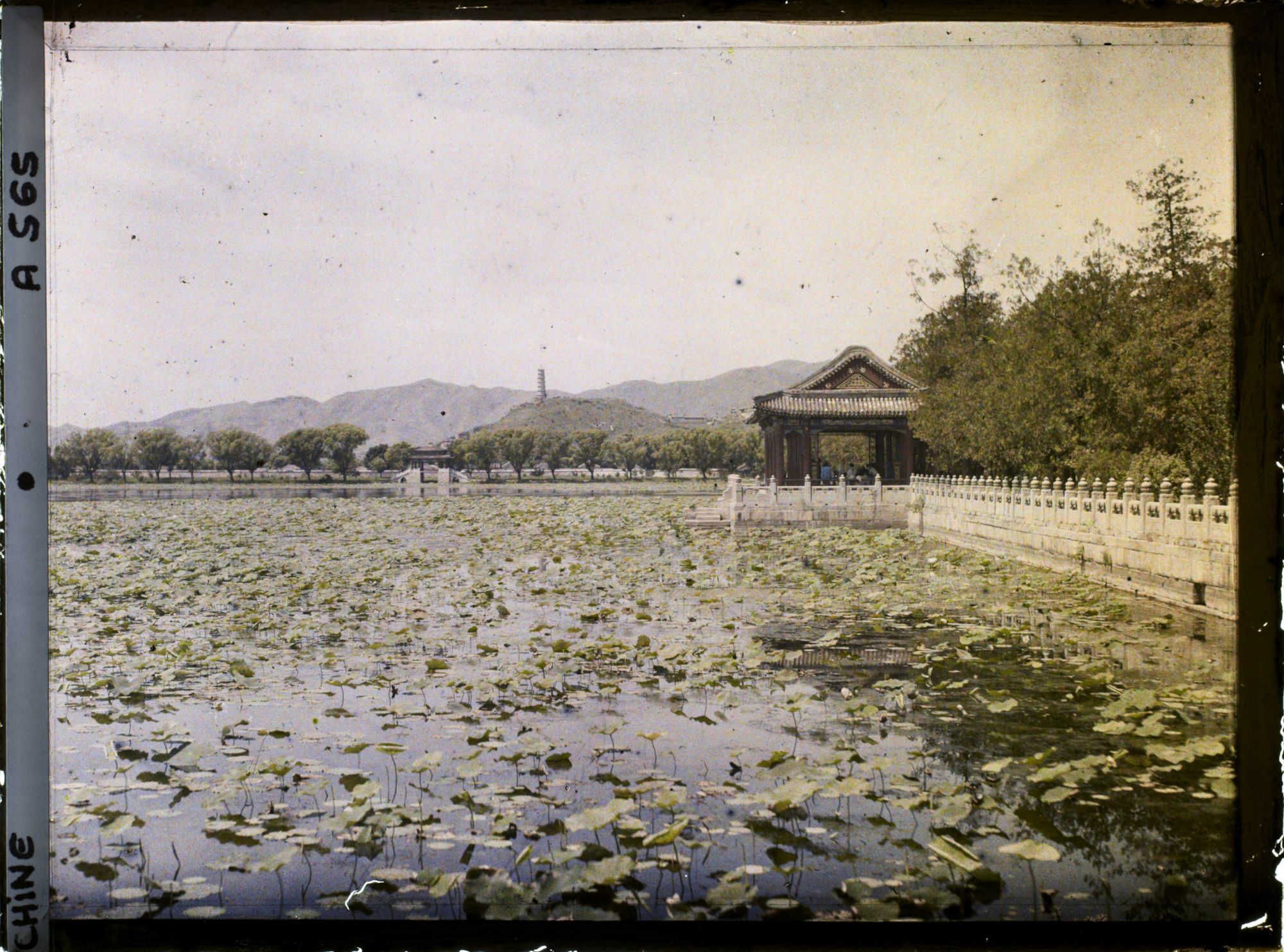 Image représentant Kunminghu recouvert de lotus, palais d'Été Yiheyuan ("  jardin de la Concorde Entretenue  ")