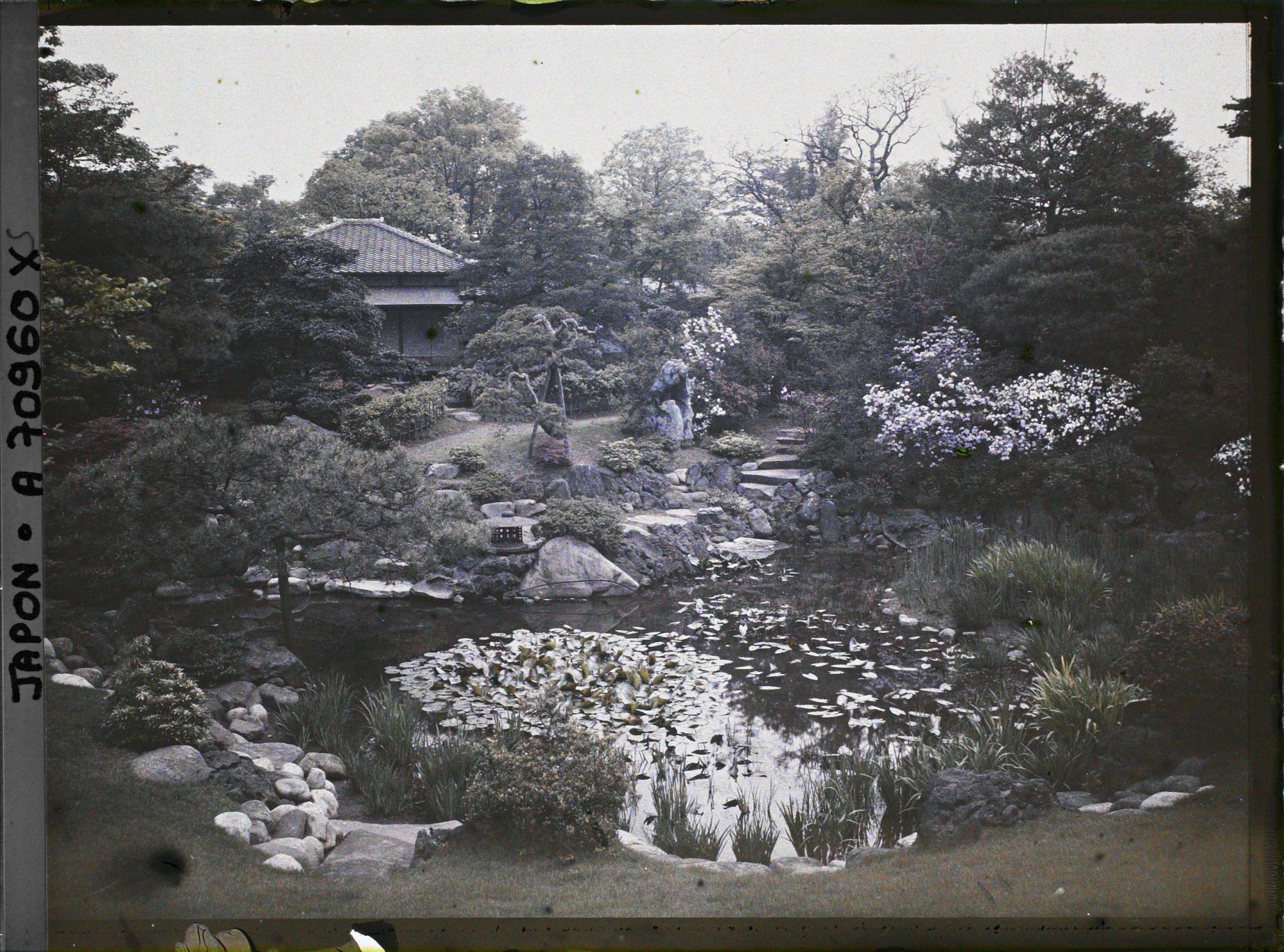 Image représentant Jardin d'une résidence