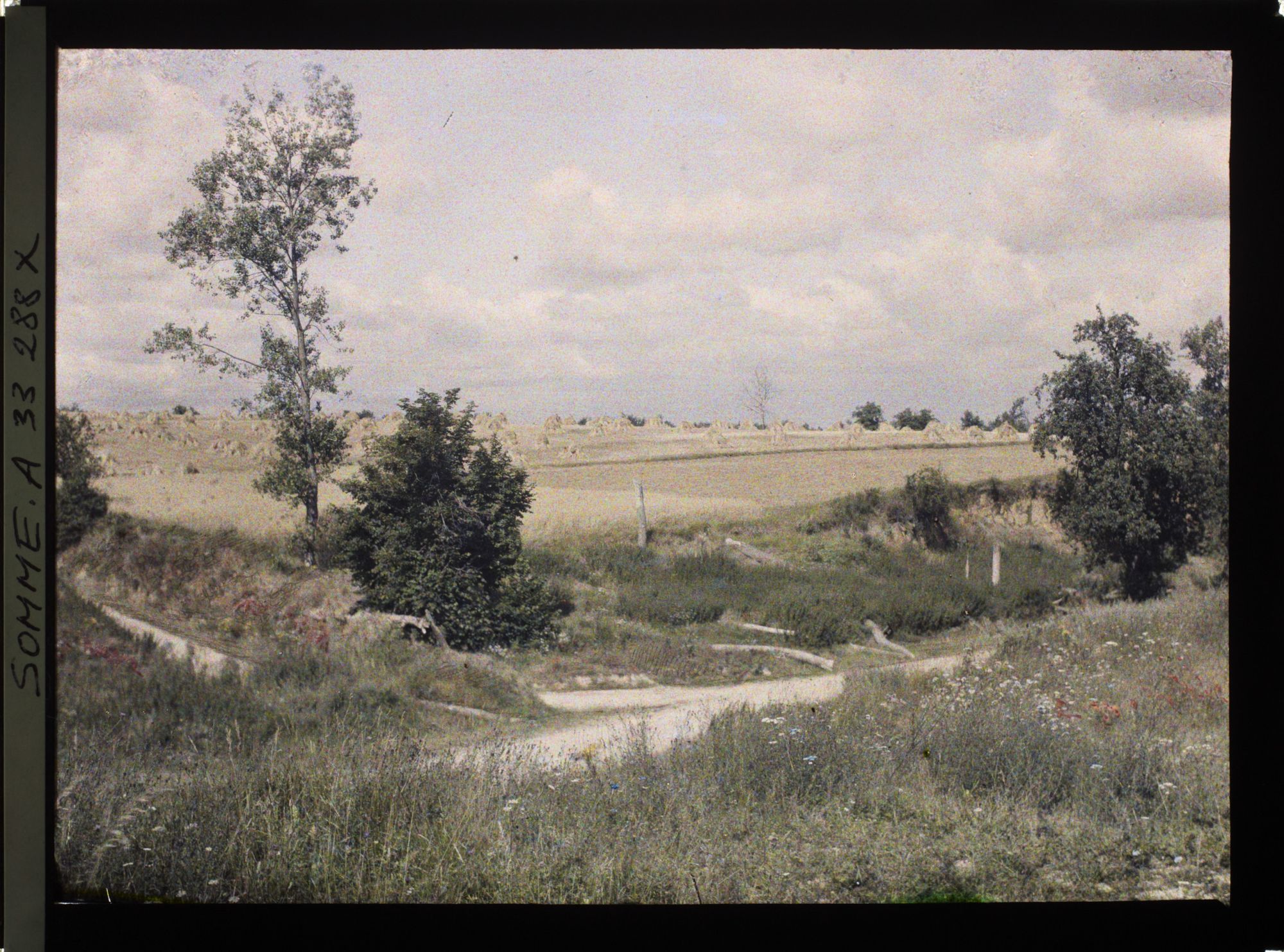 Image représentant France, Terres en Culture aux abords de Chaulnes