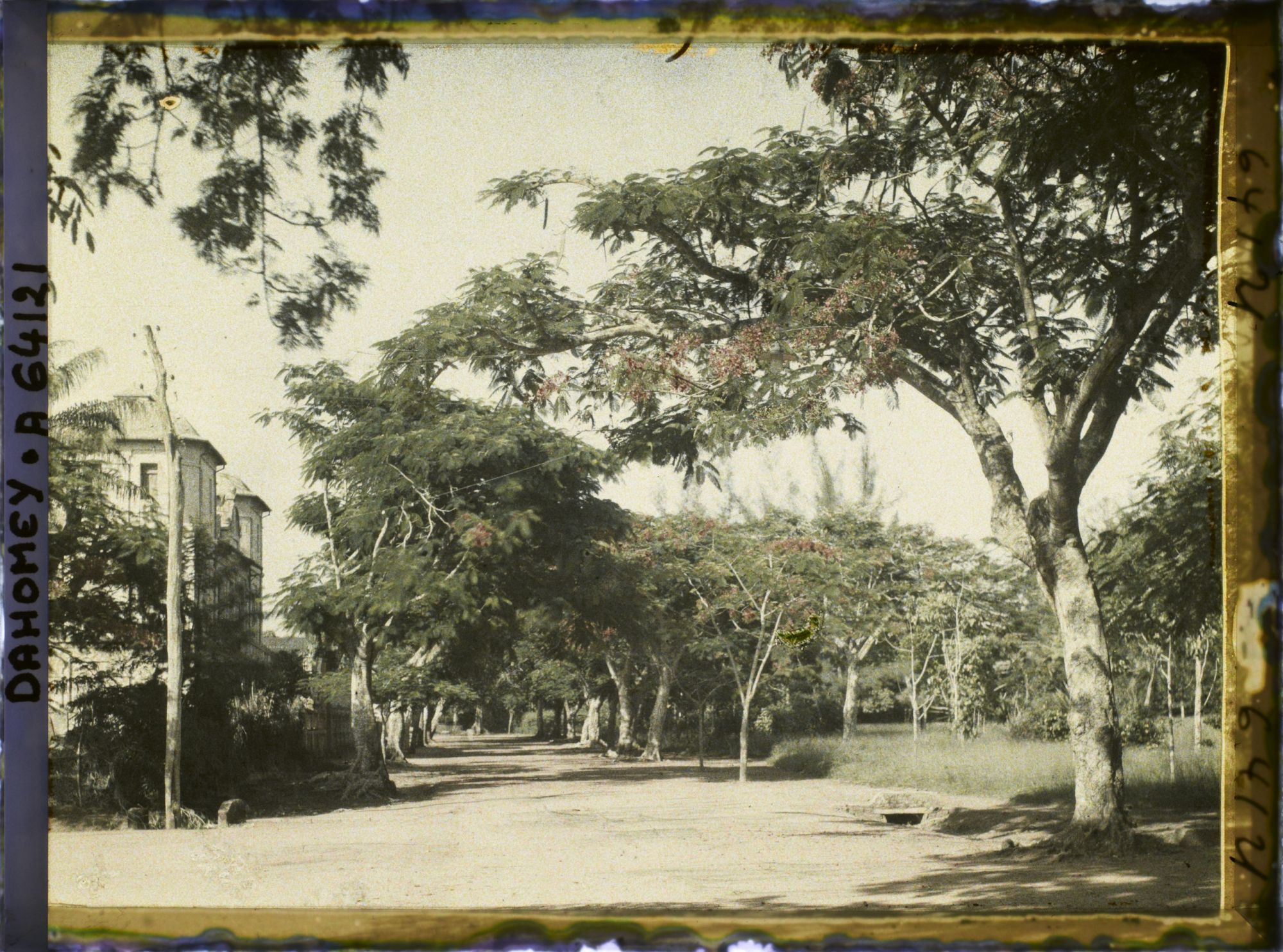 Image représentant Une allée de la Résidence du gouverneur