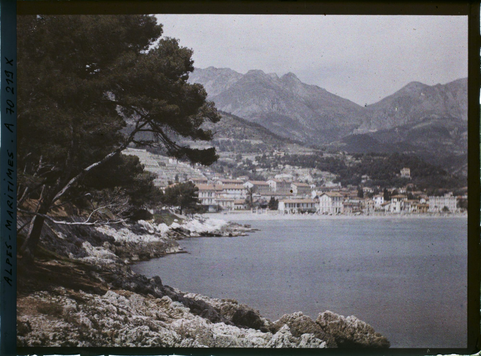 Image représentant Vue sur la promenade du Cap Martin, pris du chemin des douaniers