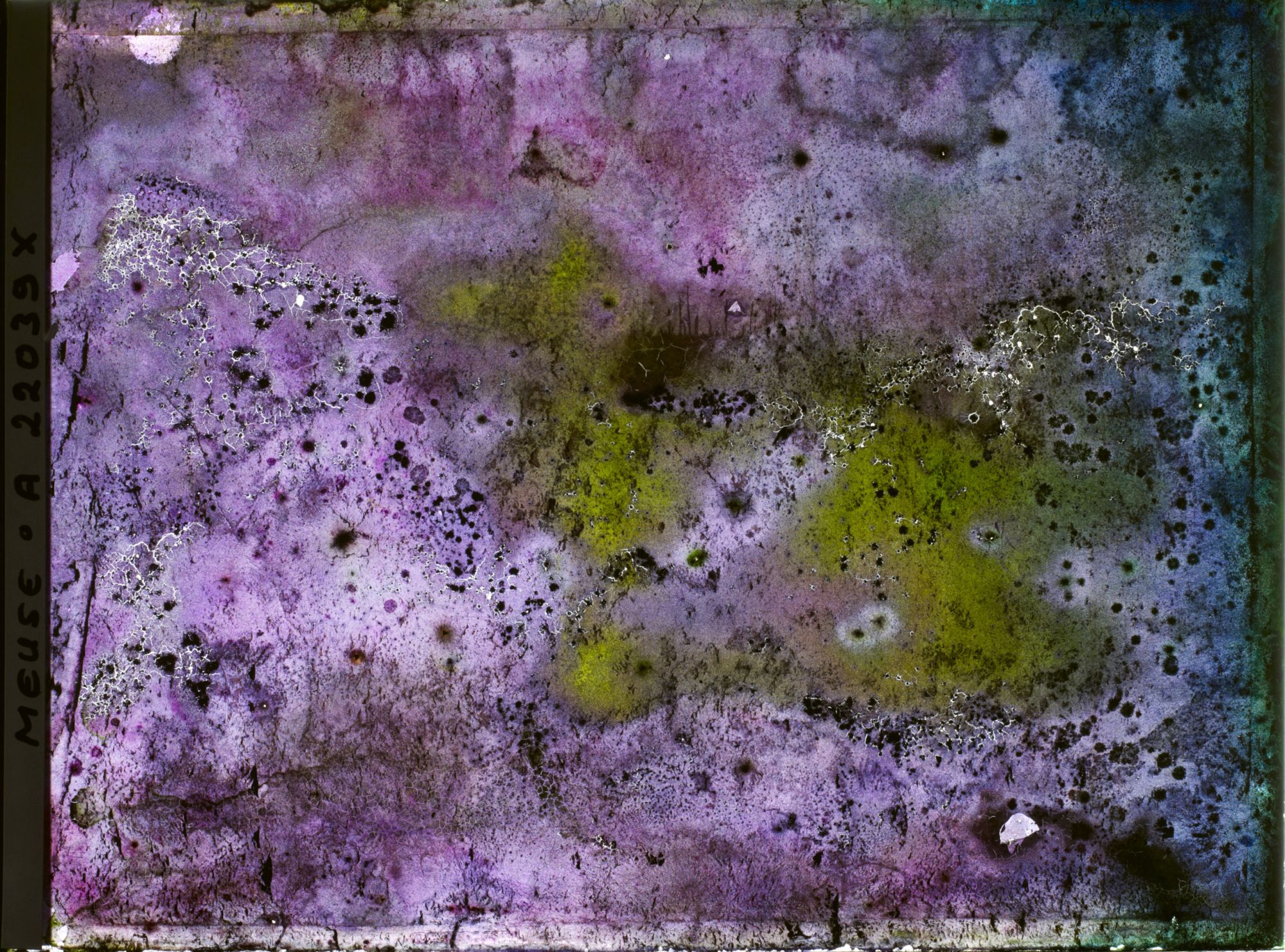 Image représentant Image illisible, plaque endommagée par l'eau (altérations d'époque)