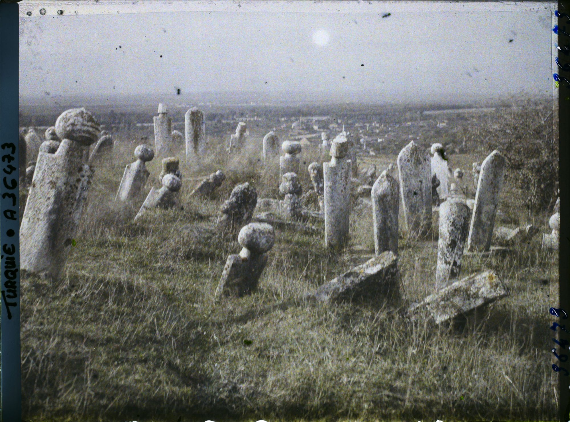 Image représentant Cimetière musulman (tombes et colonnes funéraires plantées sur une surface herbeuse)