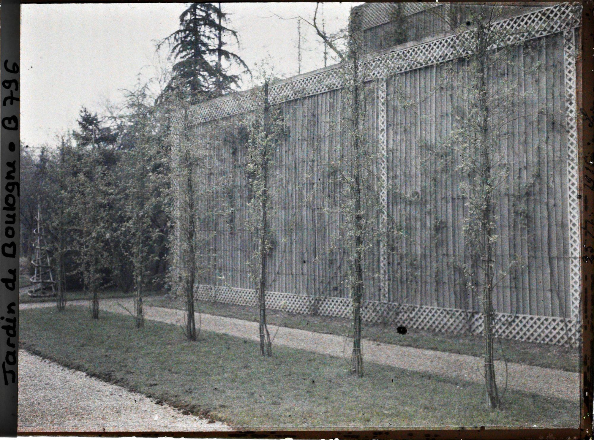 Image représentant L'aile gauche de la serre du jardin français