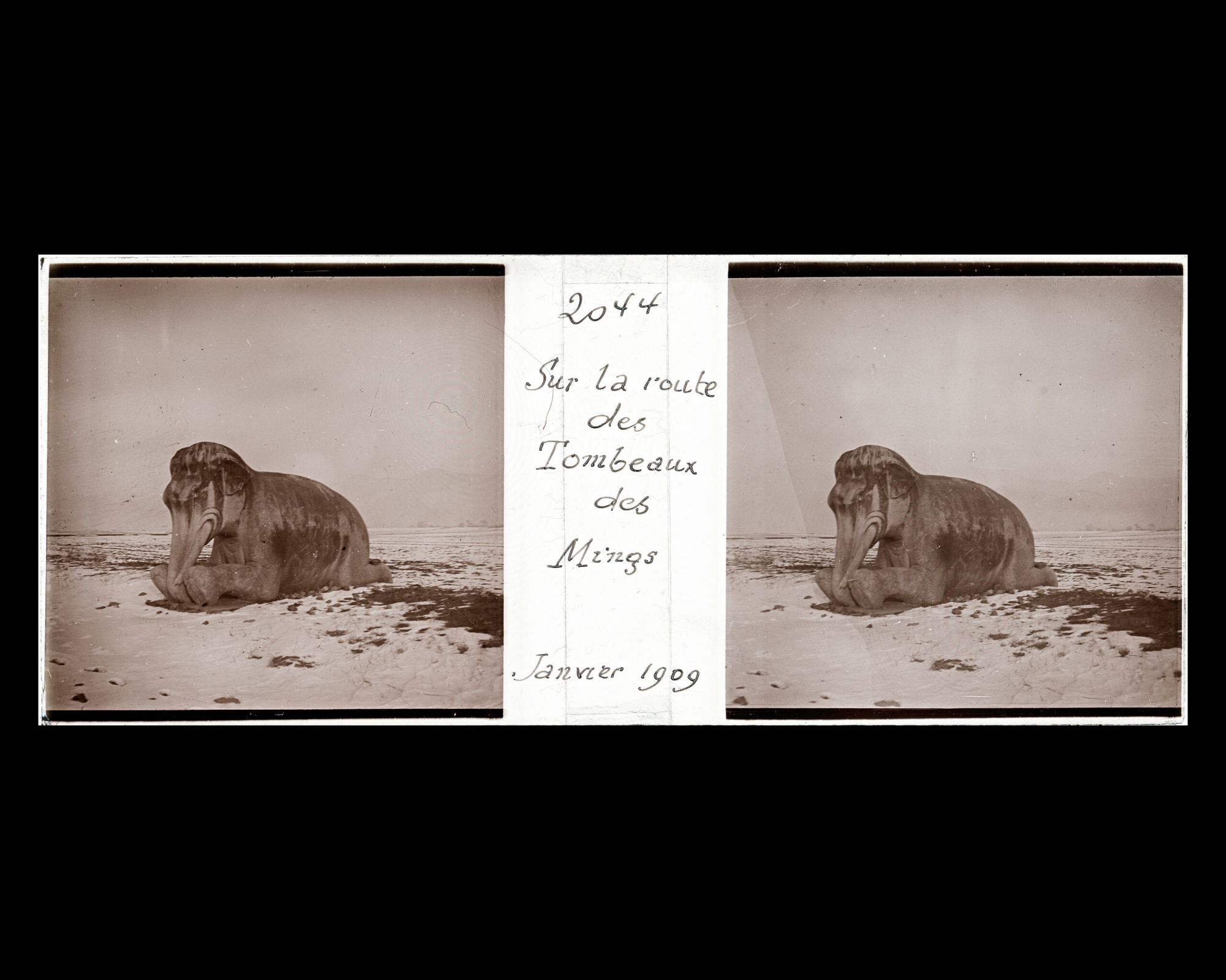 Image représentant Ming Shisanling ("Treize Tombeaux des Ming"). L'un des deux éléphants assis de l'allée des statues