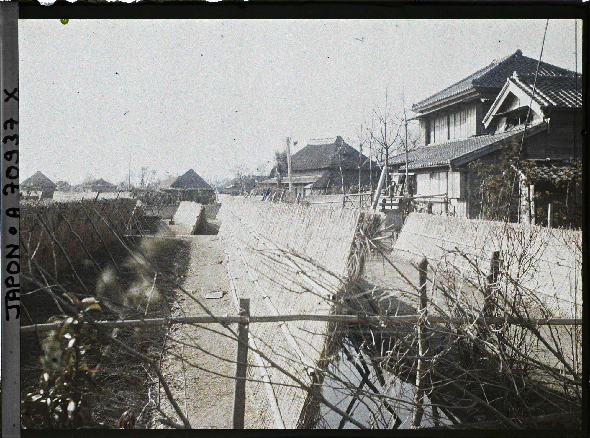 Image représentant Village