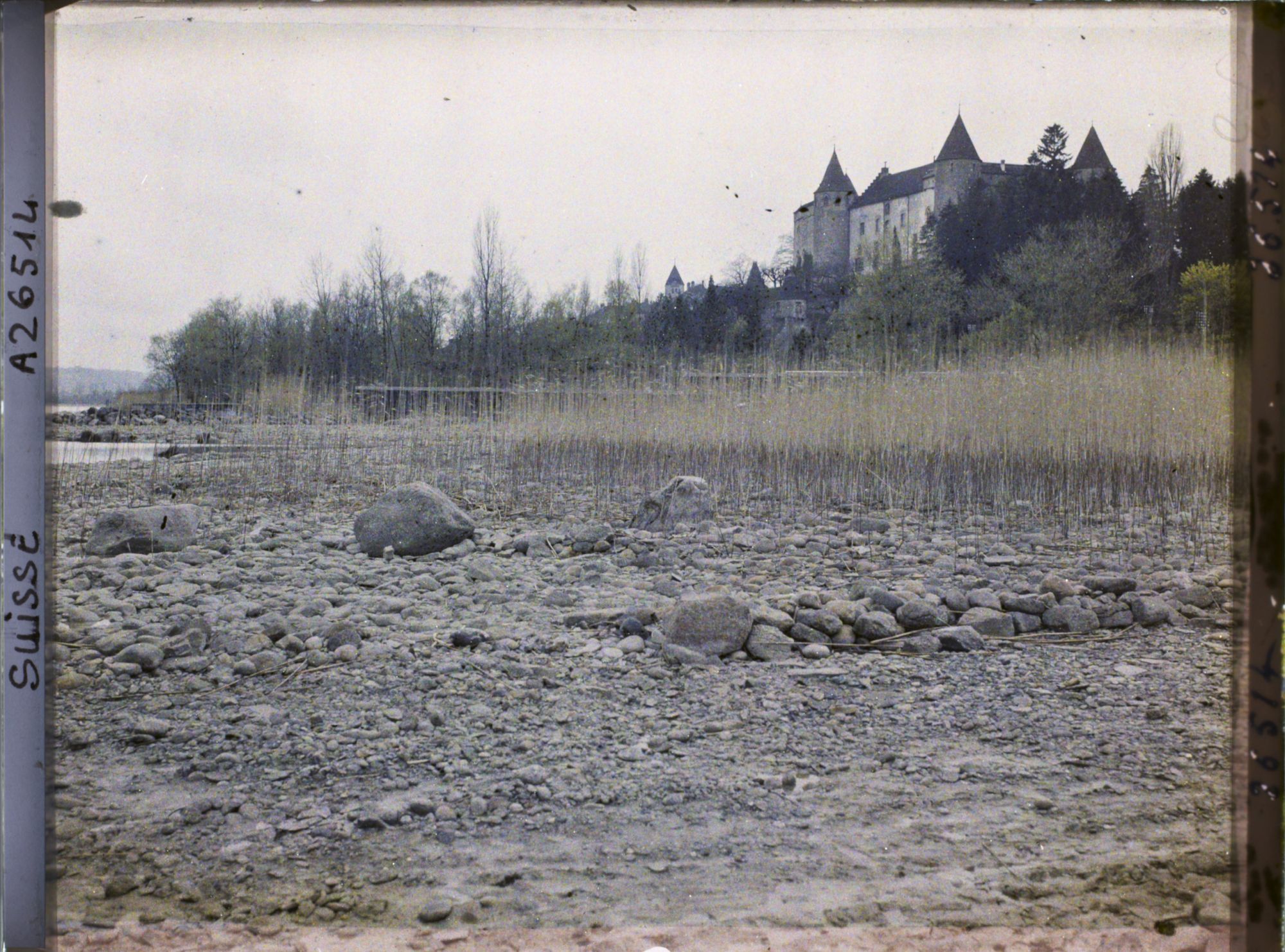 Image représentant Site palafittique préhistorique des Alpes, pieux en bois visibles lors de la baisse des eaux après la grande sécheresse de 1921. Le château de Grandson.