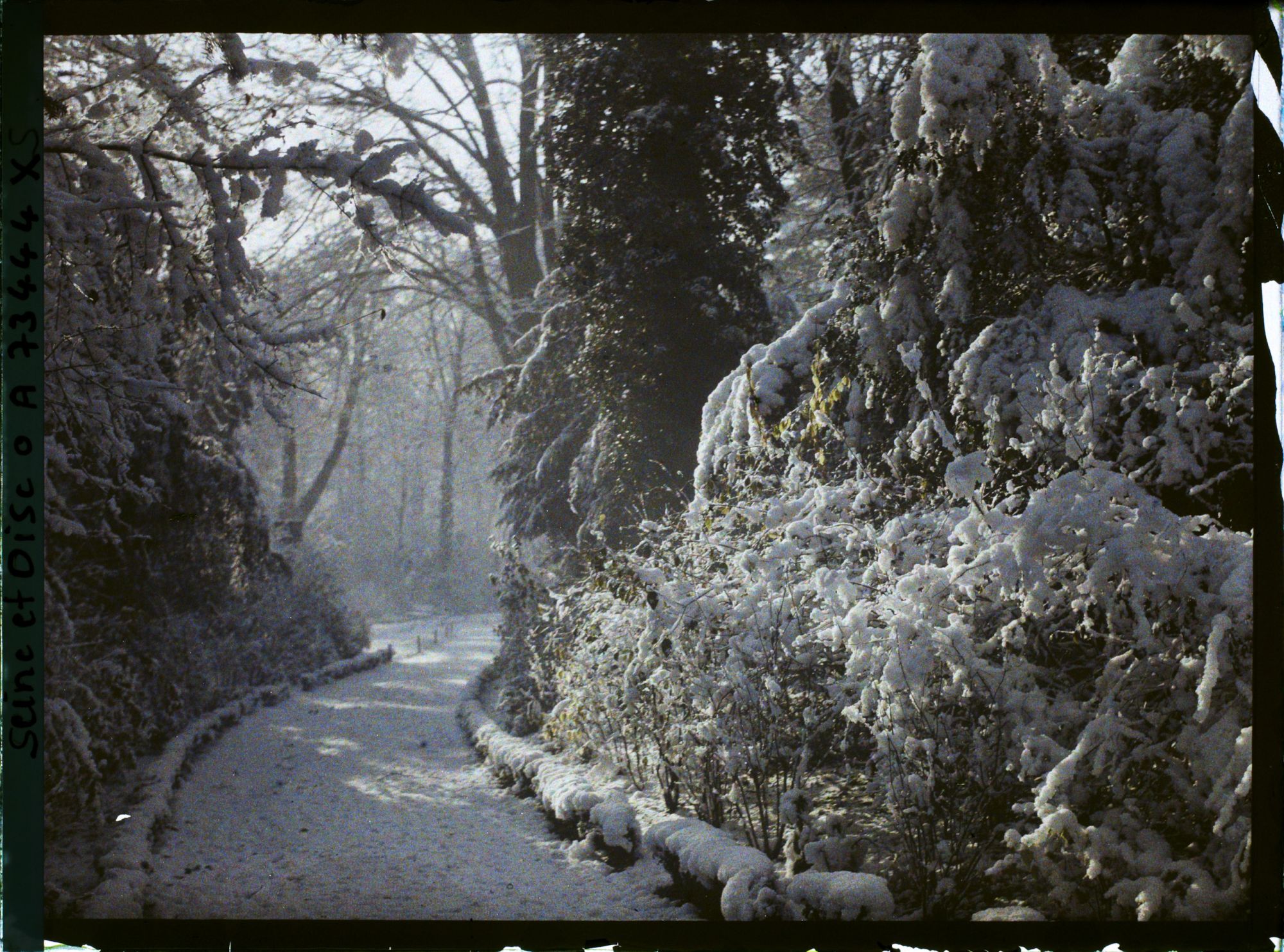 Image représentant Une allée du jardin du trocadéro sous la neige