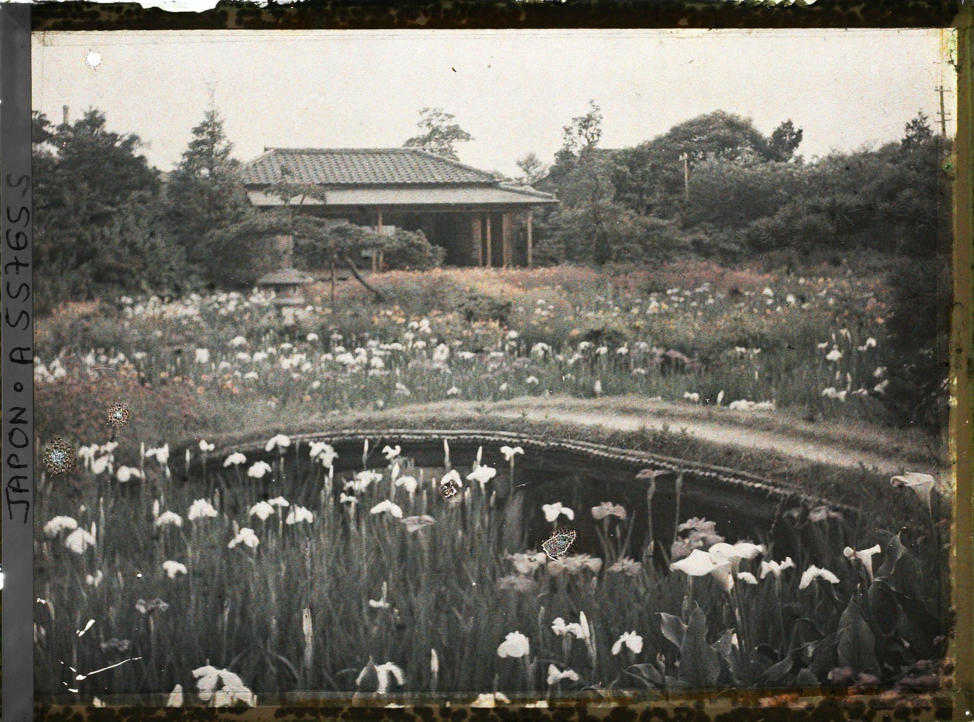 Image représentant Jardin Horikiri