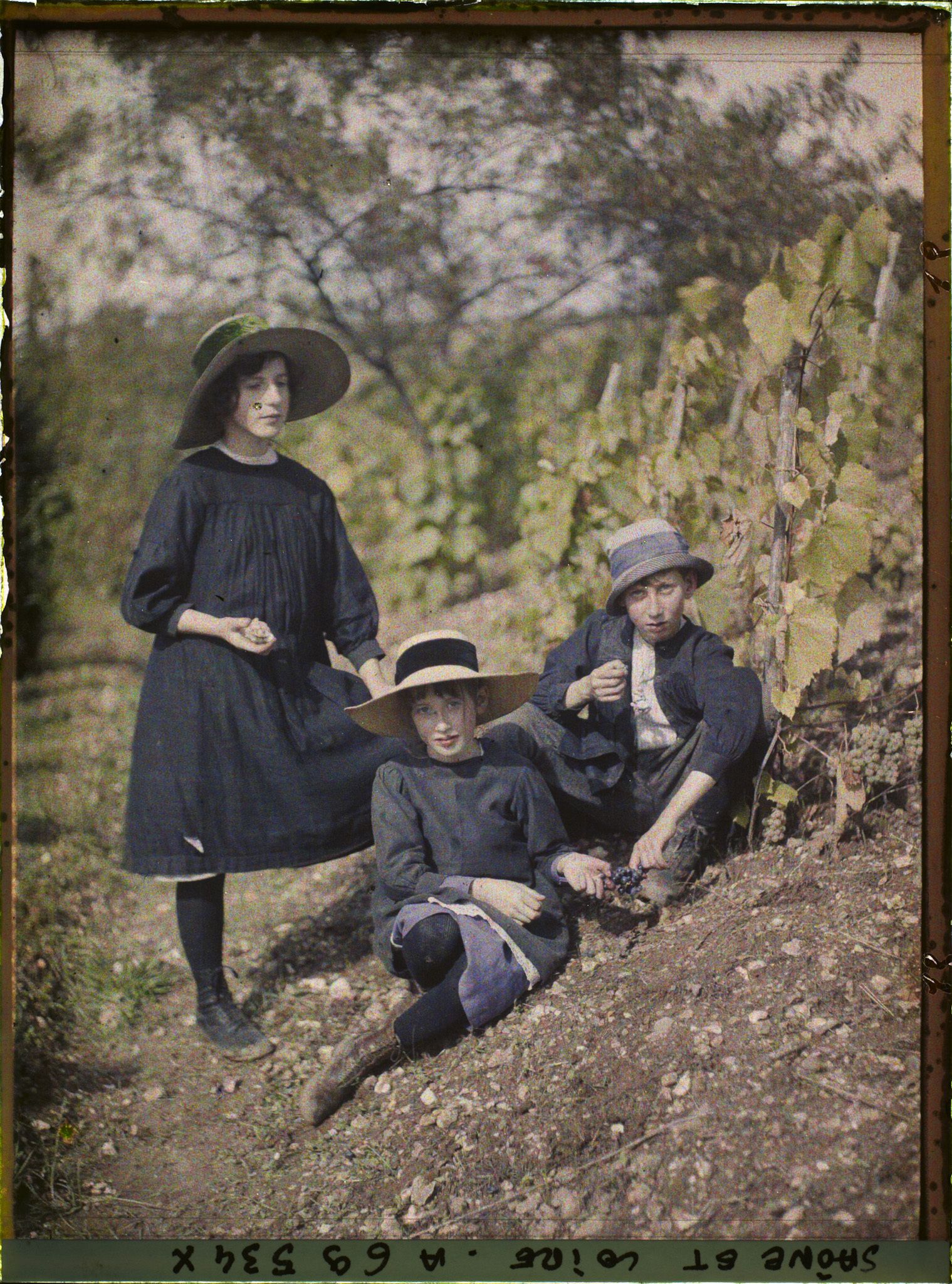 Image représentant Portrait des enfants de Jean Brunhes, Mariel debout à gauche, Béatrice assise au centre, Yann assis à droite