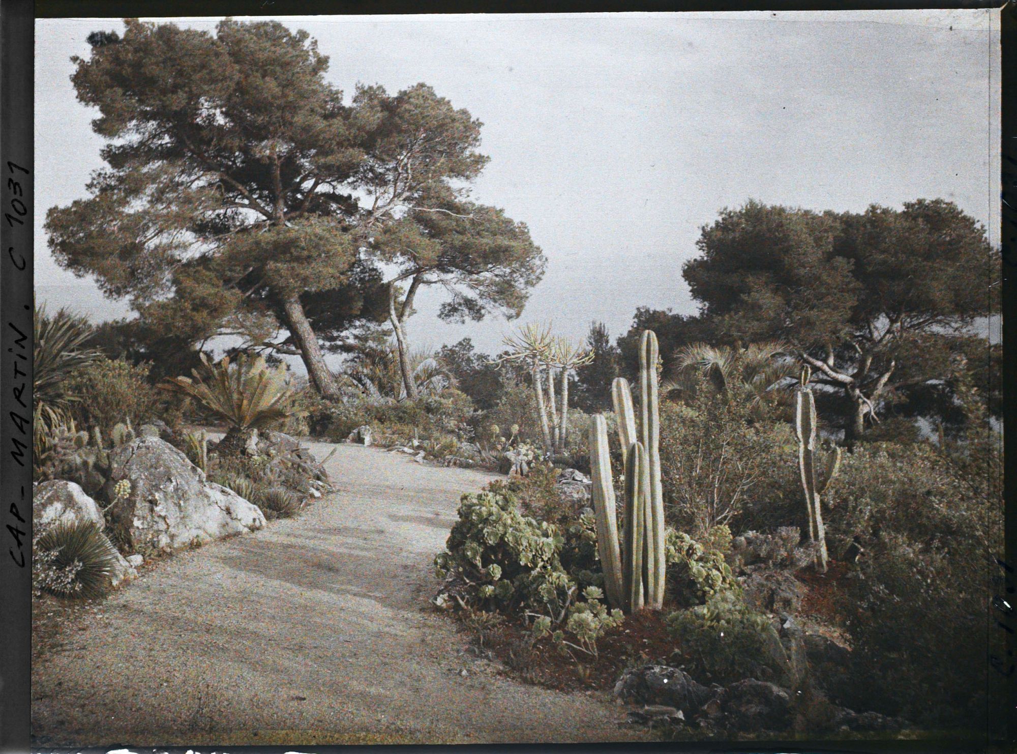 Image représentant Le Jardin, vue vers la mer