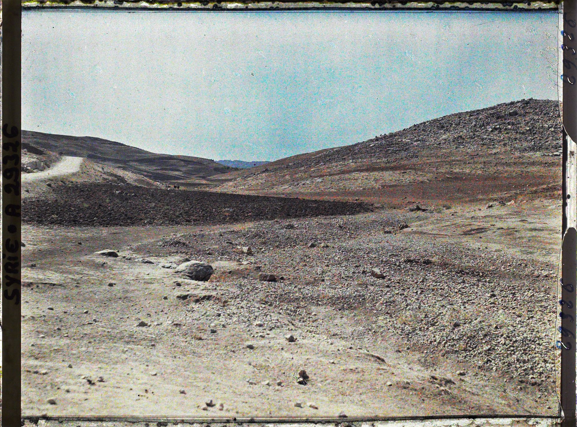 Image représentant Paysage désertique