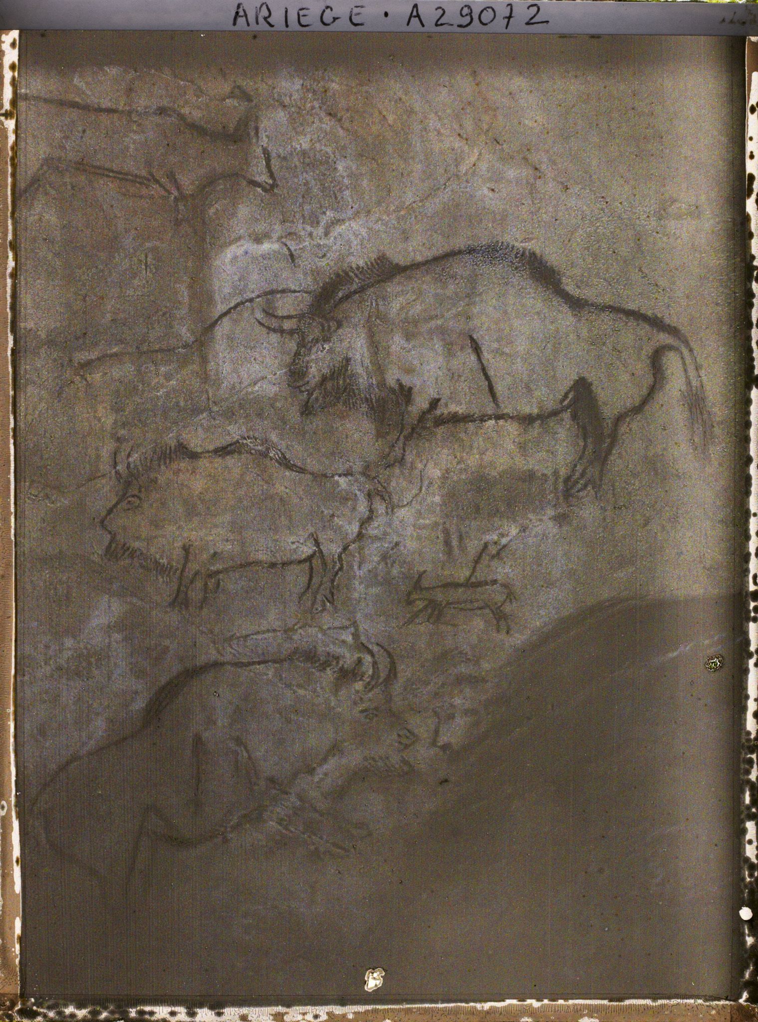 Image représentant Grotte de Niaux : quatrième panneau, partie droite