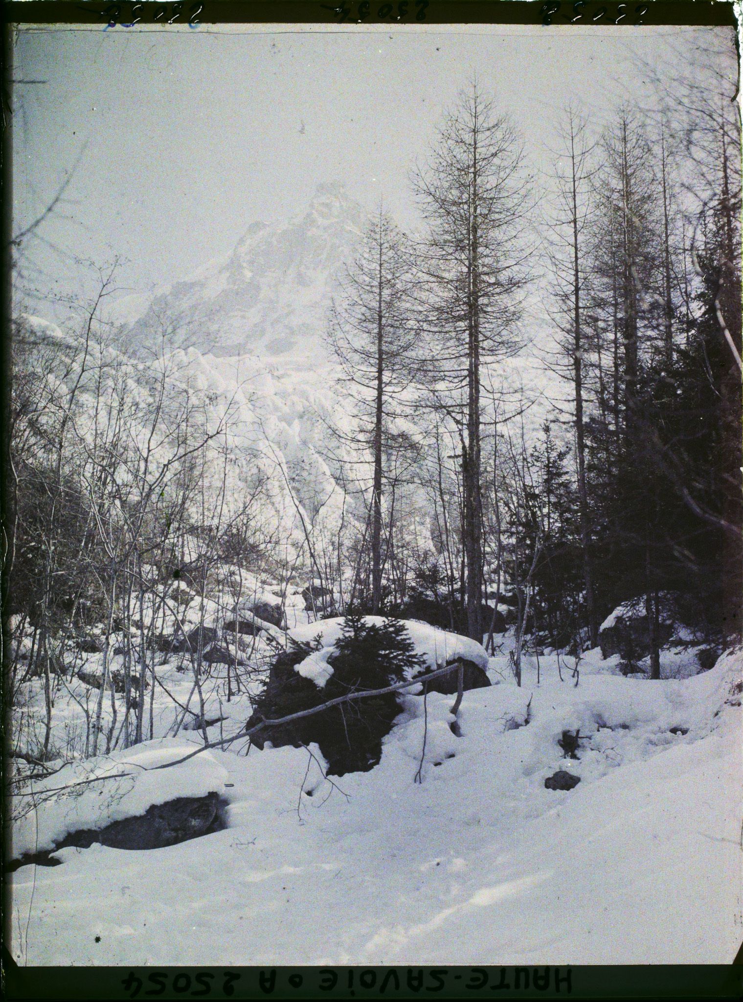 Image représentant France Les Alpes, La montée du Glacier des Bossons et l'aiguille du midi, altitude approximative 1200m