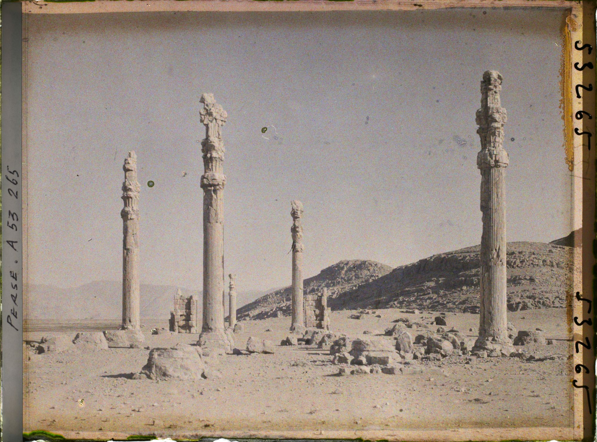 Image représentant Vestiges de colonnes de l'Apadana (hall d'audience de Darius 1er, fin du VIe siècle avant J.-C.)