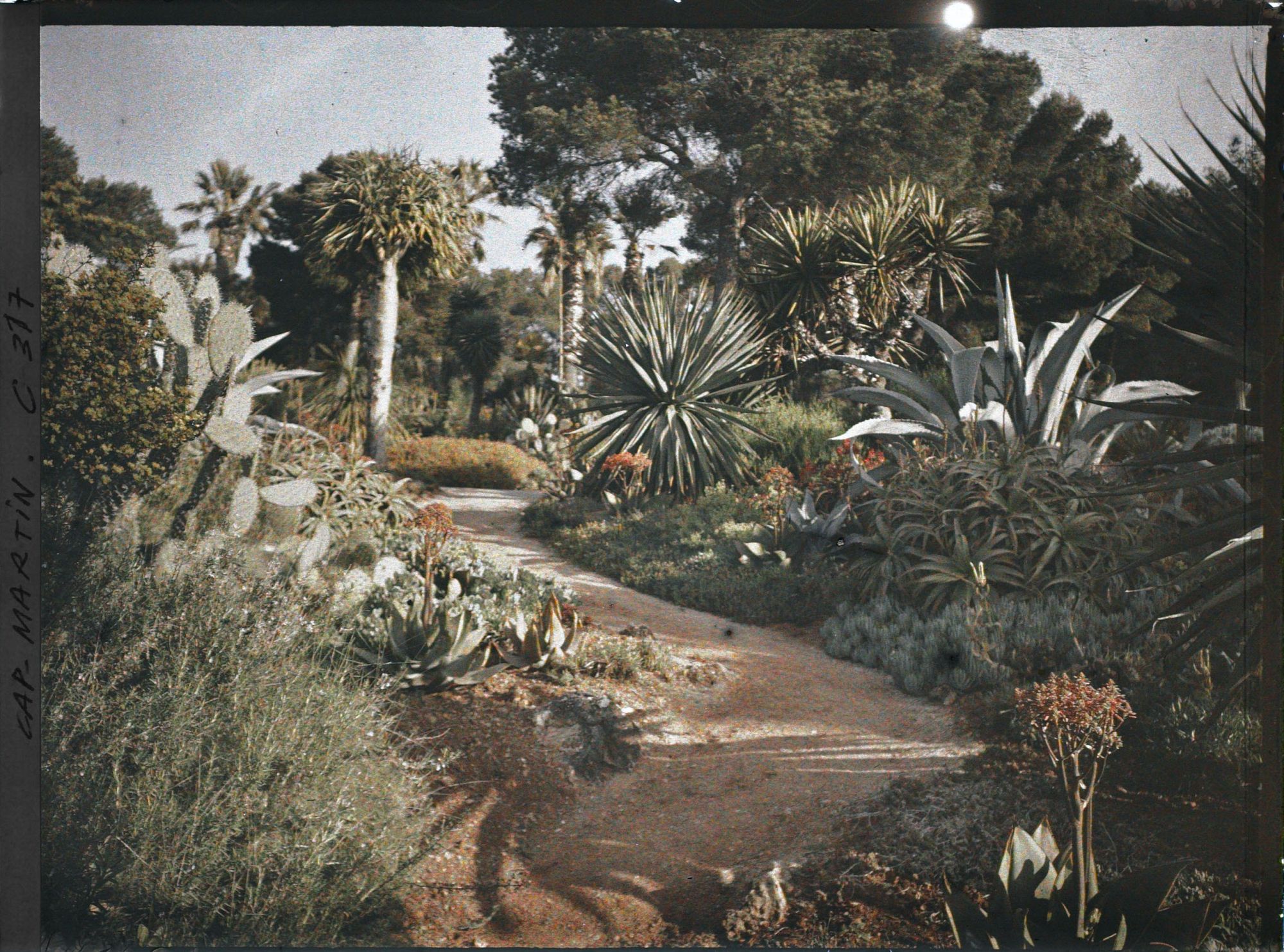 Image représentant Cap-Martin - Le Jardin