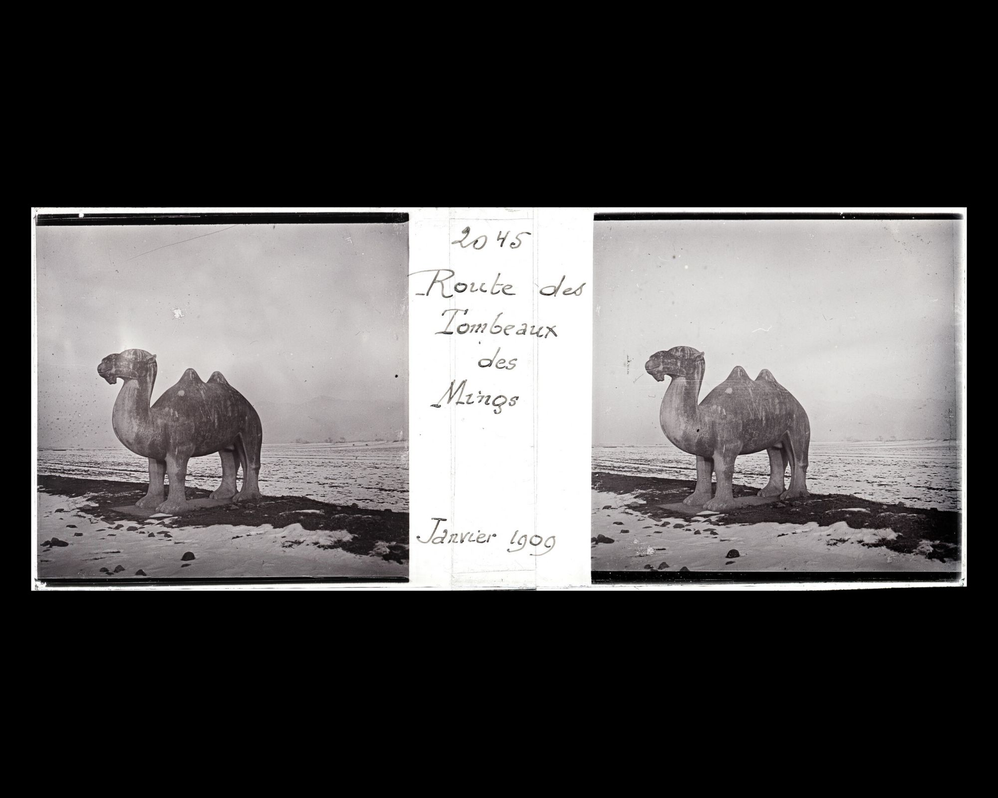 Image représentant Ming Shisanling ("Treize Tombeaux des Ming"). L'un des deux chameaux debout de l'allée des statues