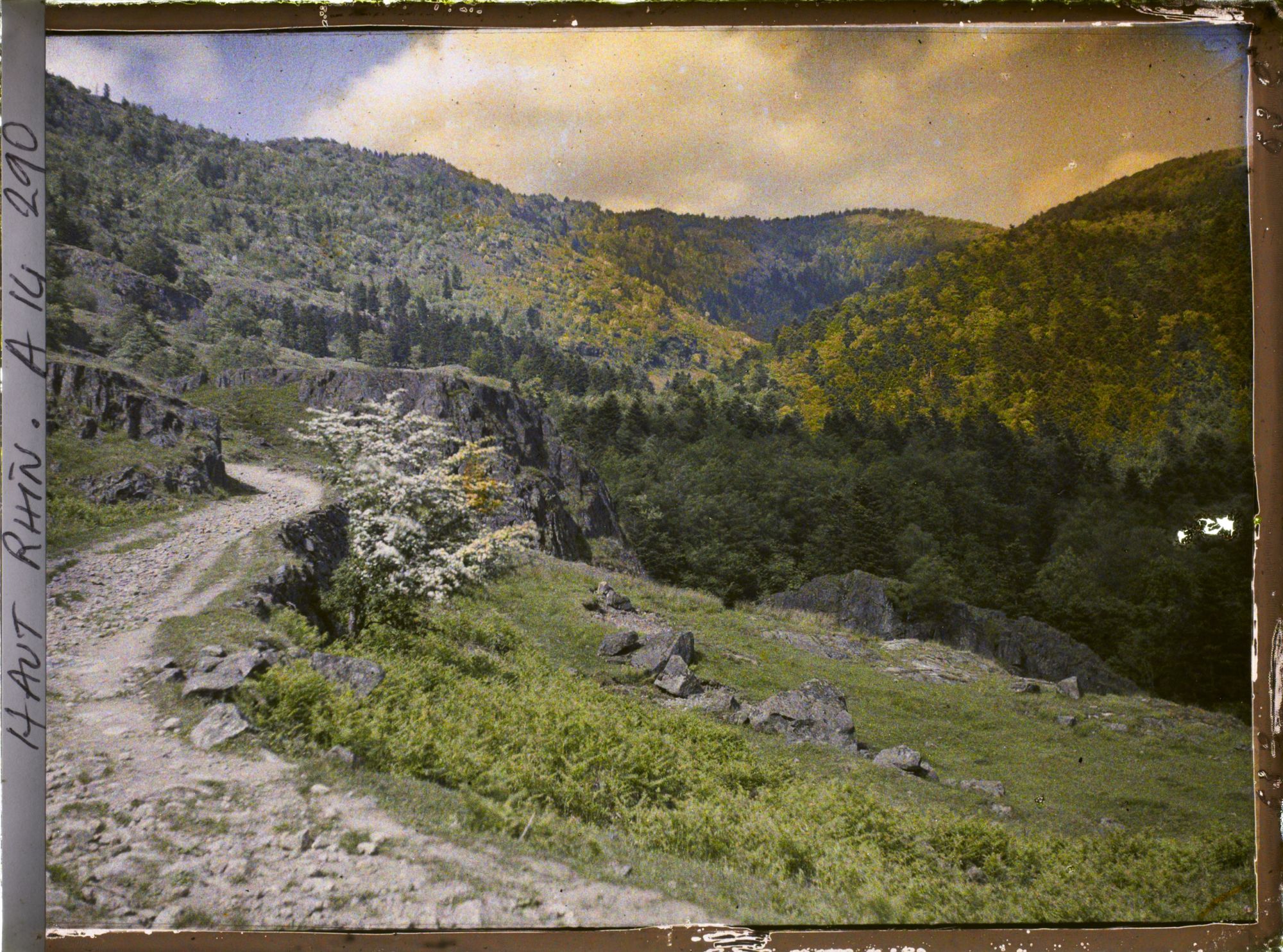 Image représentant Alsace, Vallée de Sewen, Fond de la Vallee de Sewen
