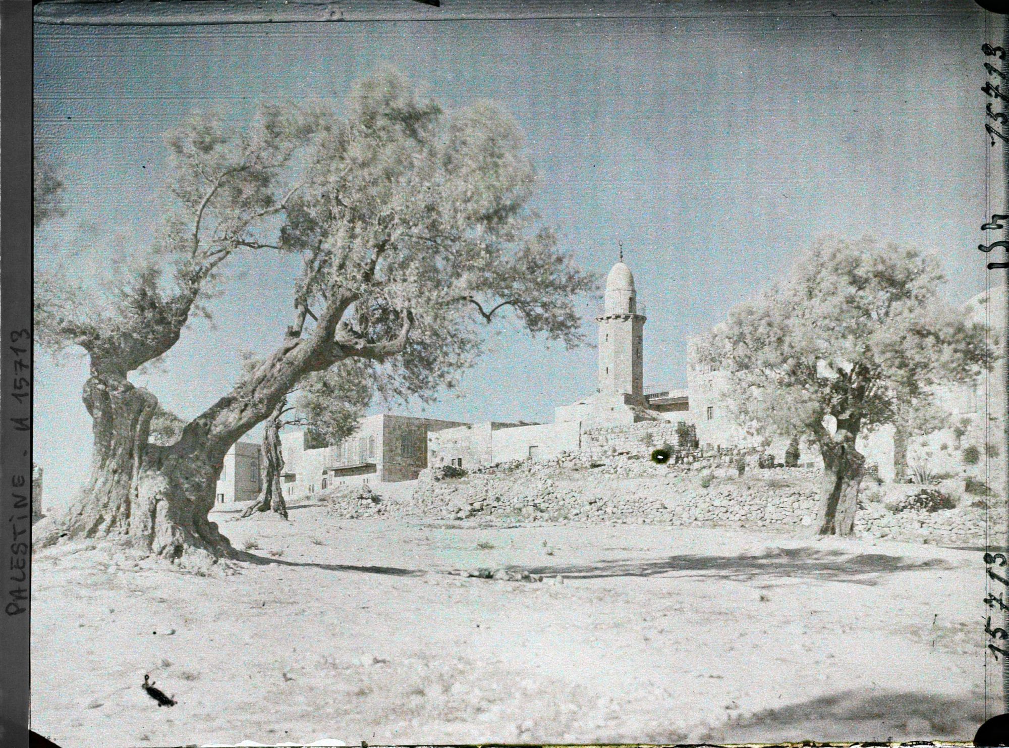 Image représentant Basilique de l'Ascension