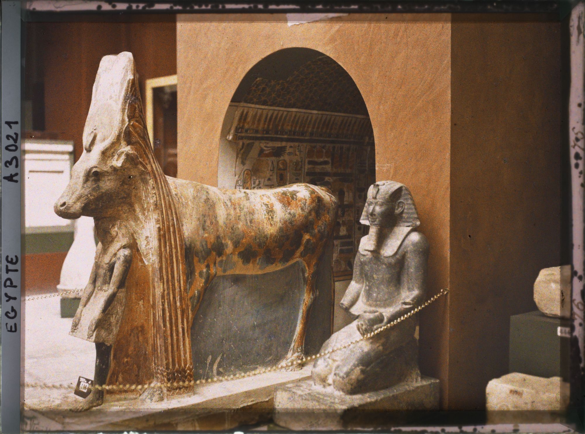 Image représentant Vache d'Hathor au musée égyptien