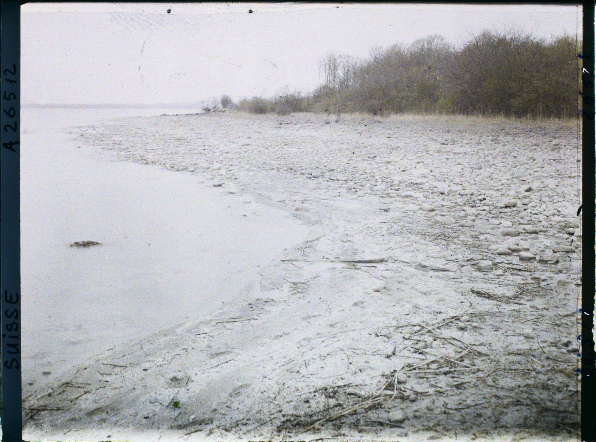 Image représentant Site palafittique préhistorique des Alpes, pieux en bois visibles lors de la baisse des eaux après la grande sécheresse de 1921