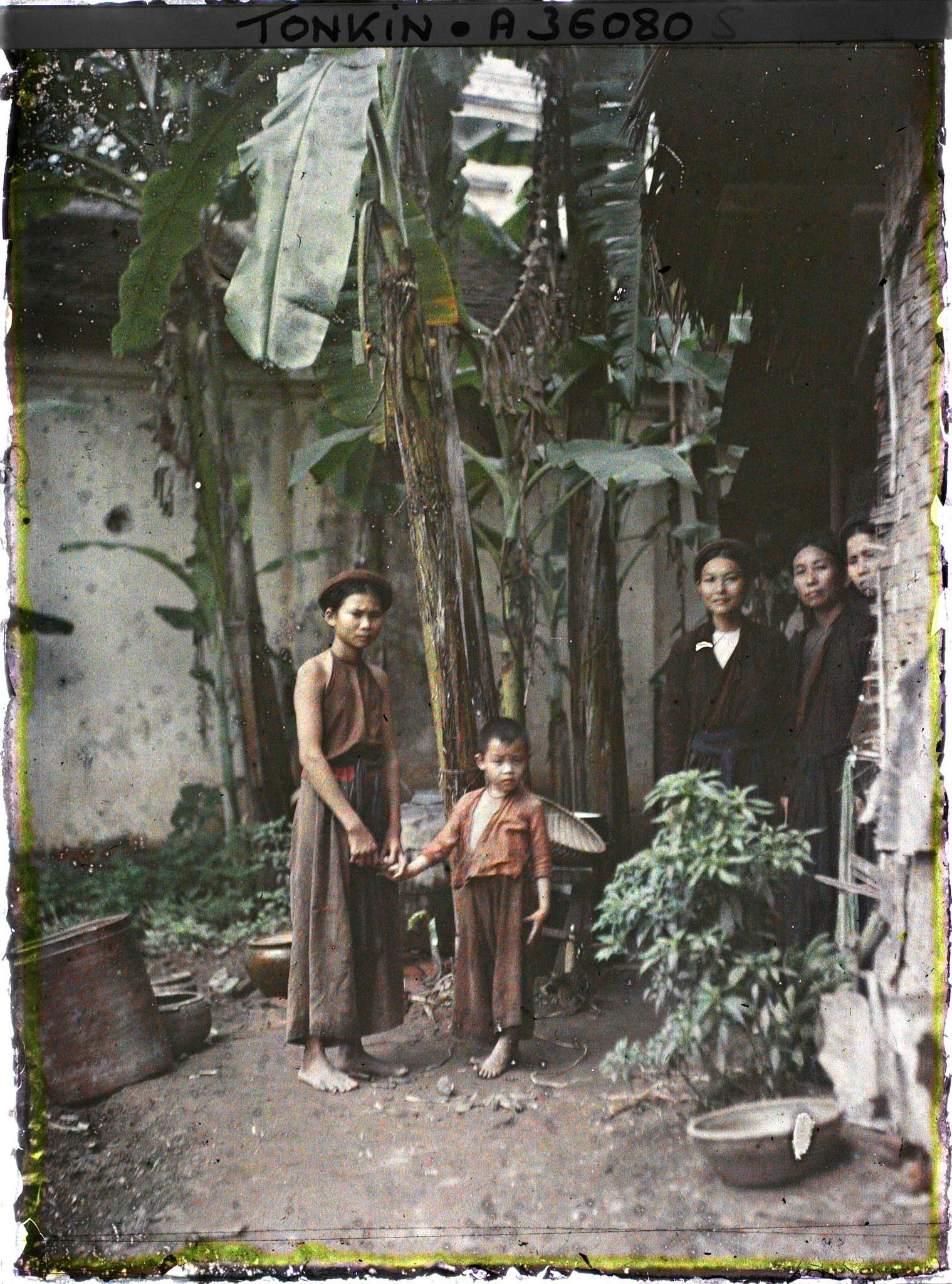 Image représentant Des femmes et un enfant dans un coin de cour planté de bananiers