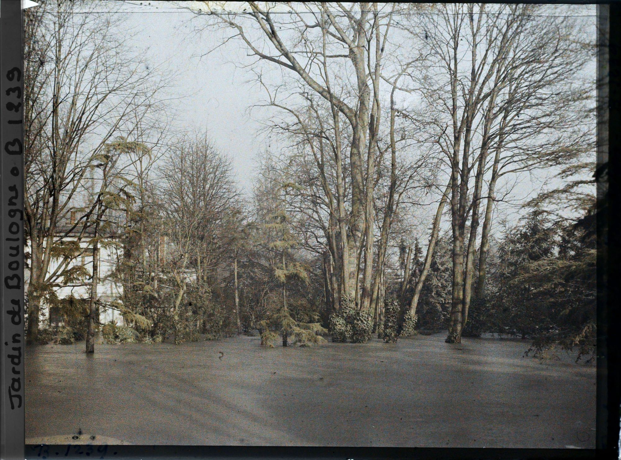 Image représentant La grande pelouse inondée