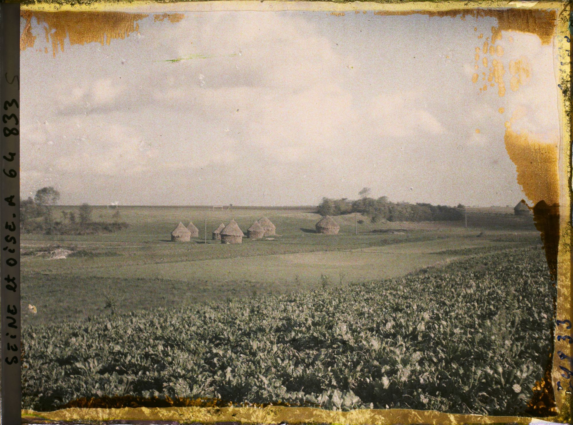 Image représentant Seine et Oise, Domont, Betteraves et meules de blé