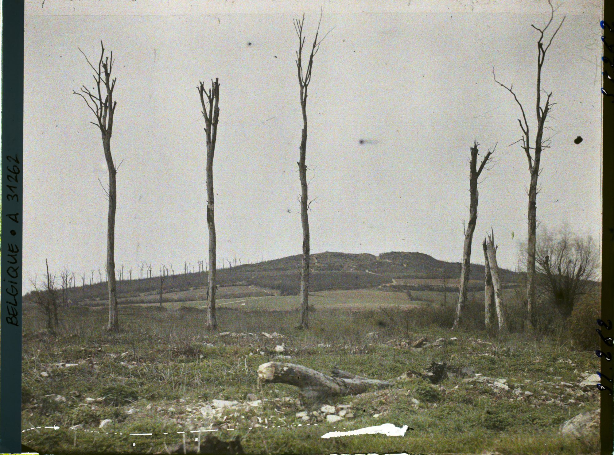 Image représentant Belgique, Kemmel, Versant Sud-Est du Mont Kemel