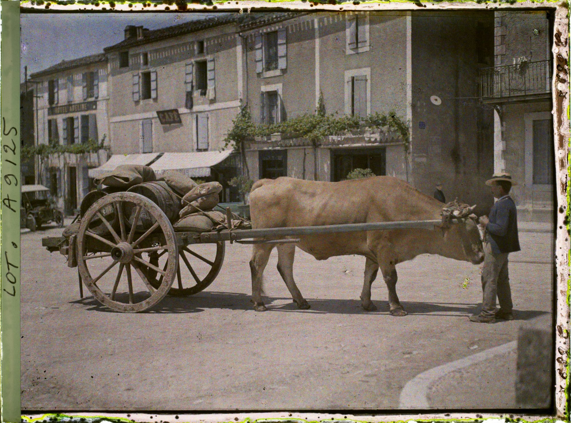 Image représentant France, Luzech, Un b?uf attelé et charrette portant le vin de Cahors