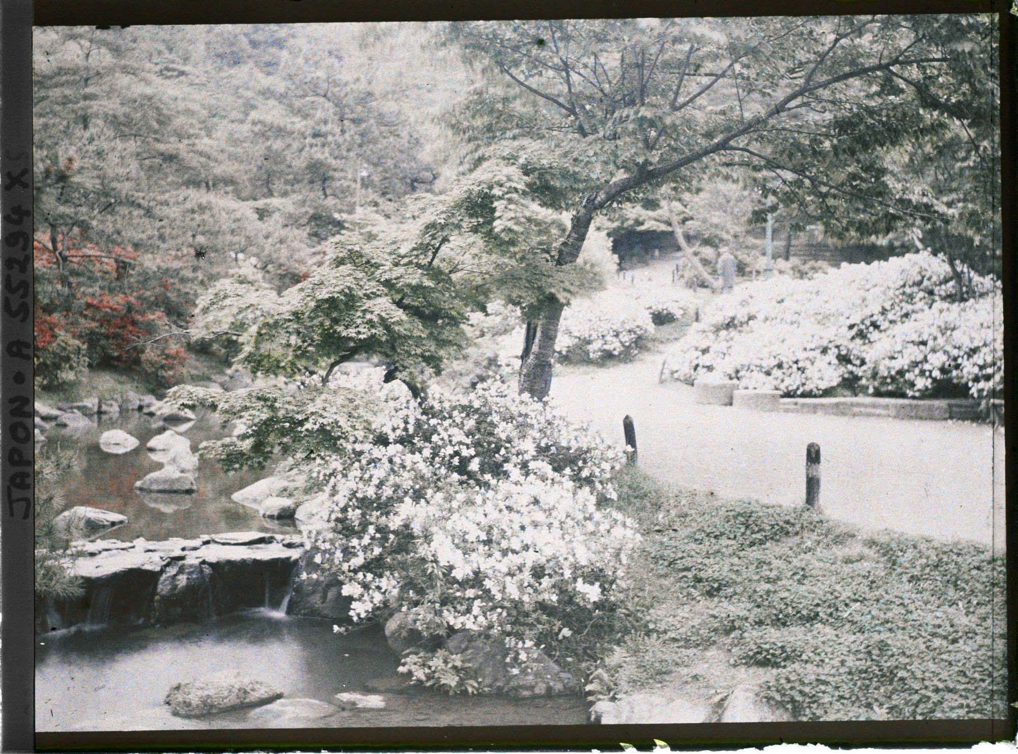 Image représentant Le parc Maruyama (Maruyama kôen)