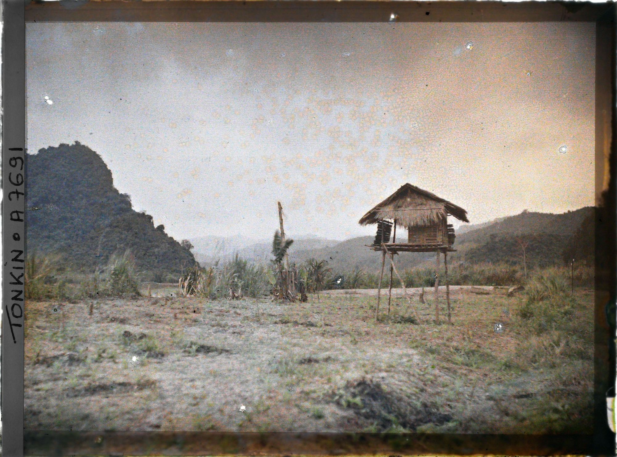 Image représentant Un abri sur pilotis dans un champ de jeunes pousses de maïs, entre Hoa-binh et Cho-Bõ