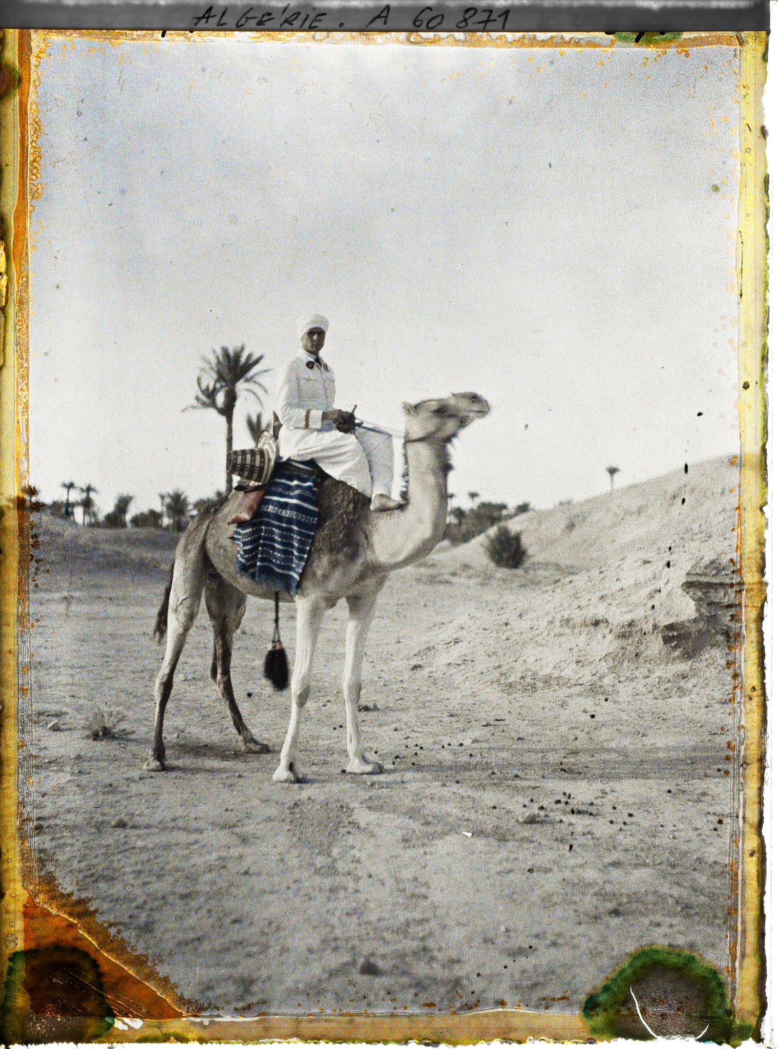 Image représentant Un officier méhariste sur sa monture