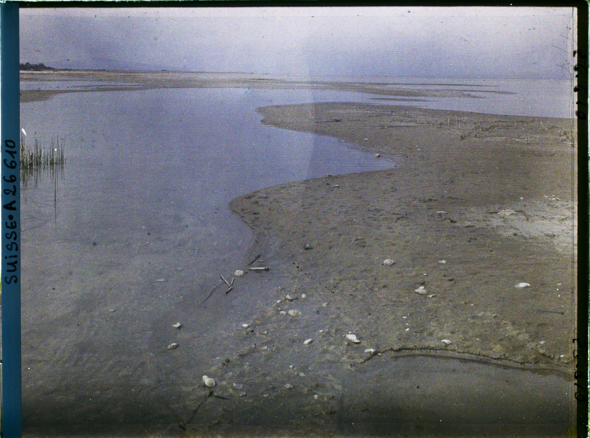 Image représentant Site palafittique préhistorique des Alpes, pieux en bois visibles lors de la baisse des eaux après la grande sécheresse de 1921 sur le lac de Neuchâtel