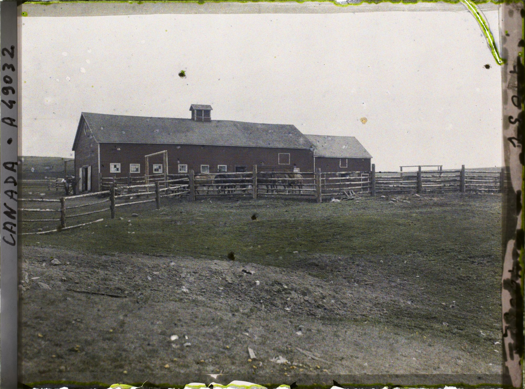 Image représentant Canada, Rocky Ranch, Ecurie du ranch John Hazza