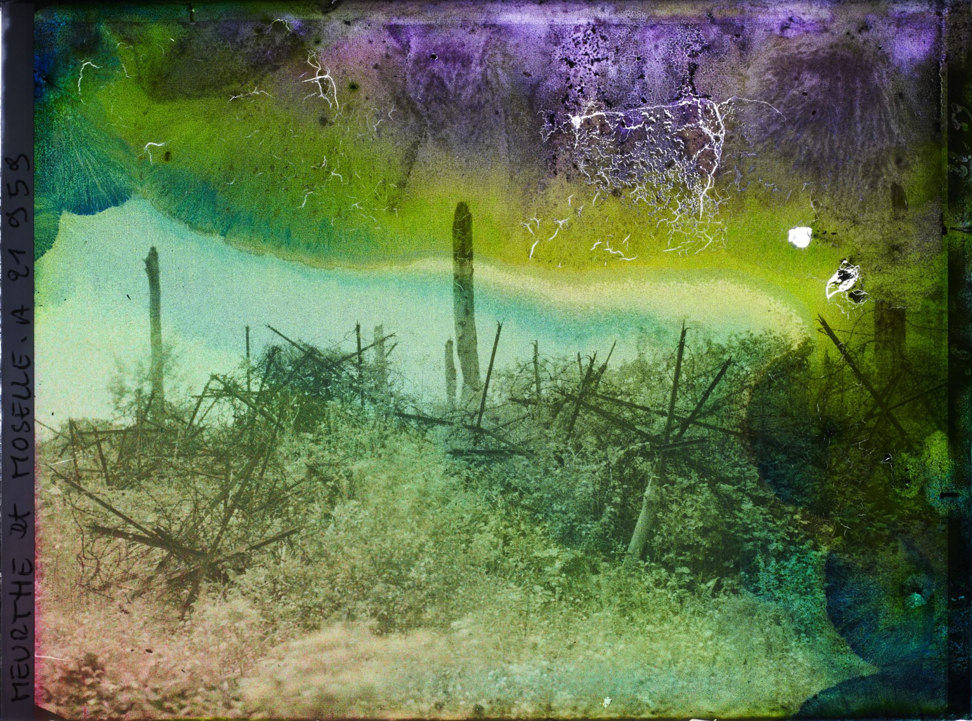 Image représentant France, Bois le Prêtre, Réseaux en avant de la tranchée des Carmes autre aspect