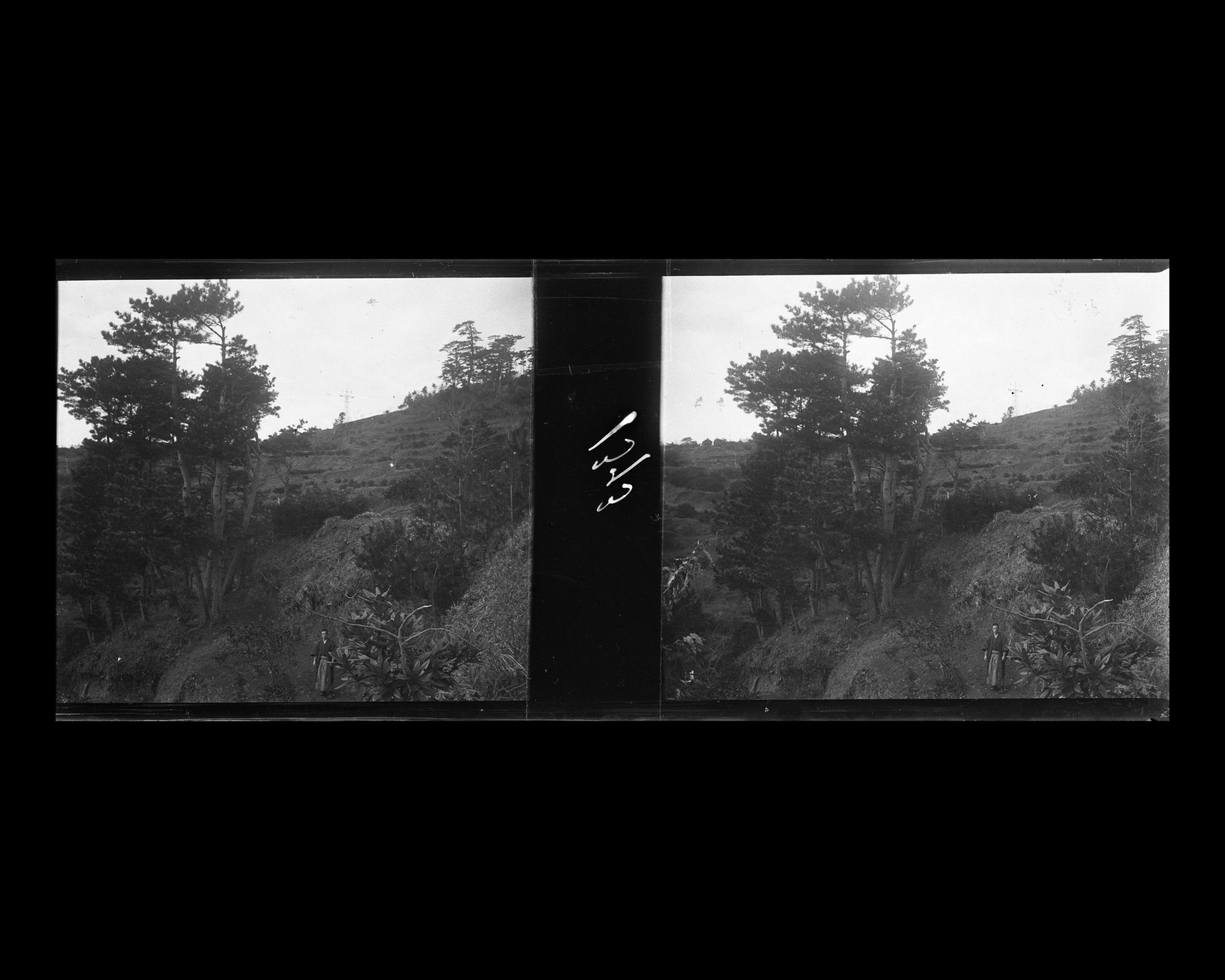 Image représentant Le domaine campagnard du comte Shigenobu Okuma