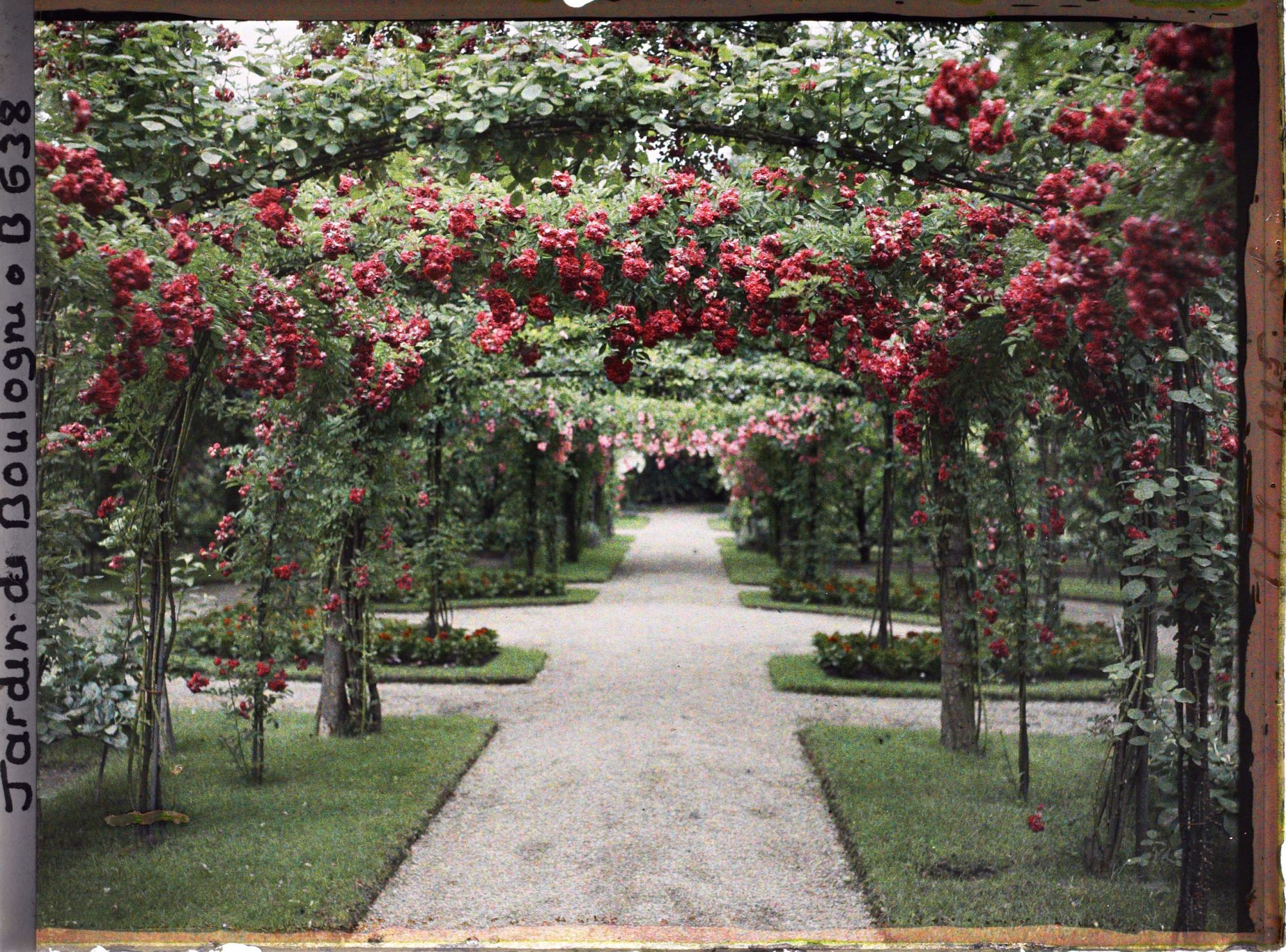 Image représentant Axe central du verger-roseraie vu en direction de la dépendance, à proximité du jardin français