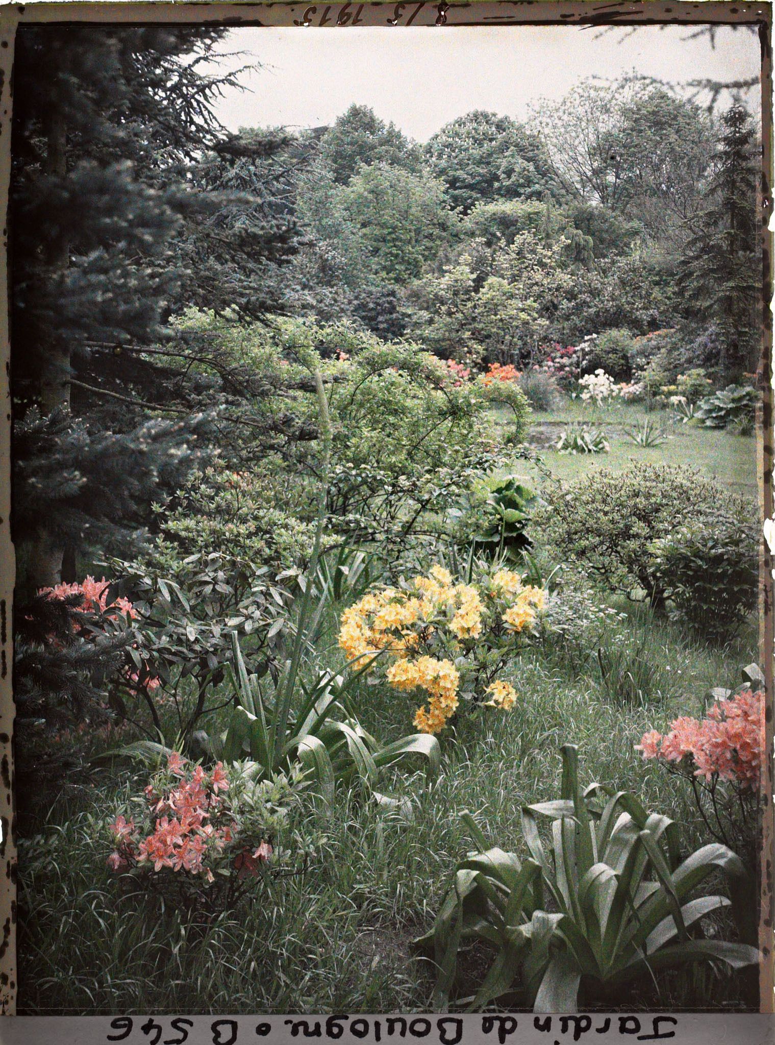 Image représentant Partie du marais cerné d'arbustes colorés, vue vers le nord-est, depuis un espace herbacé et fleuri