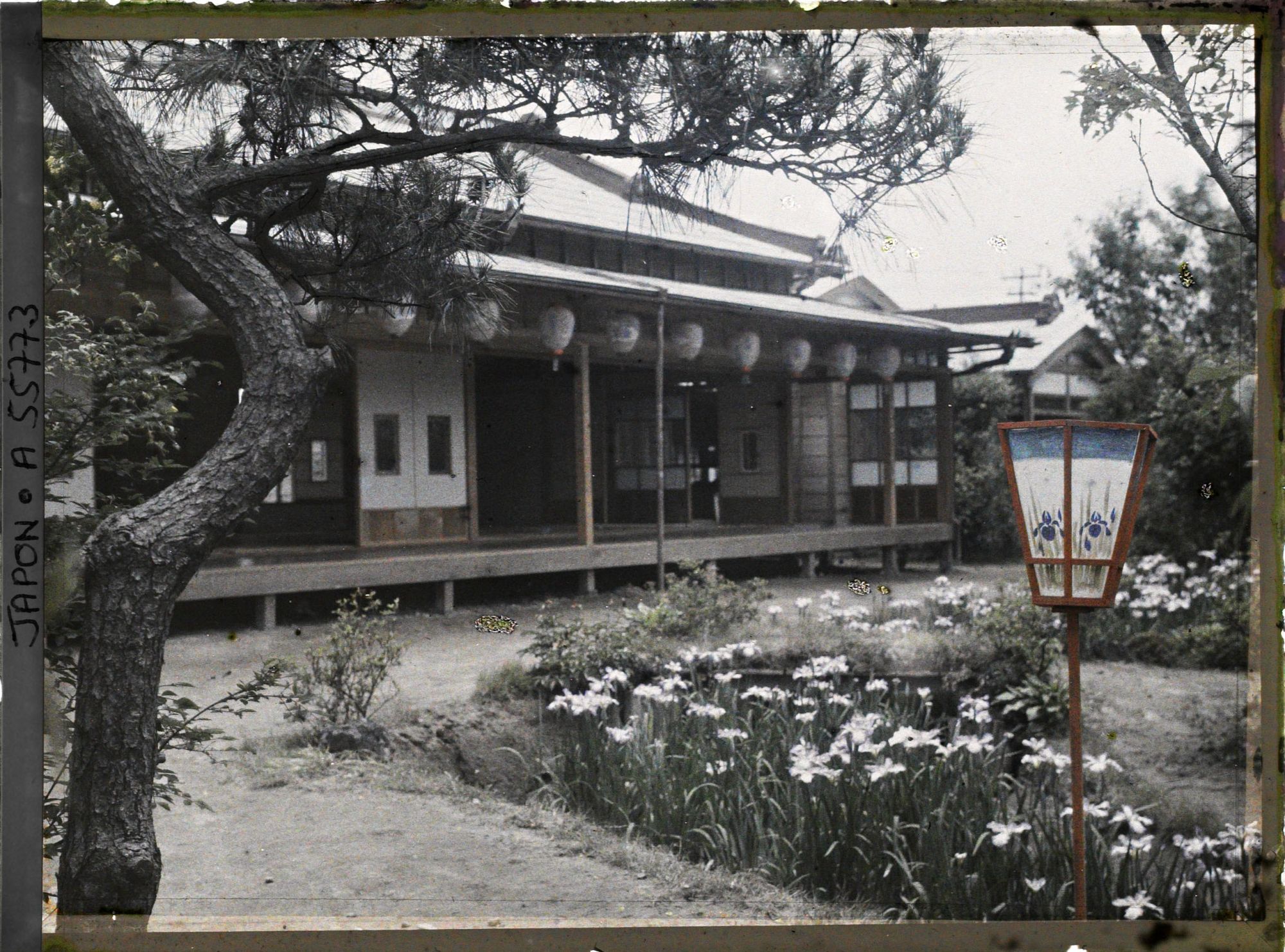 Image représentant Jardin d'iris de Horikiri