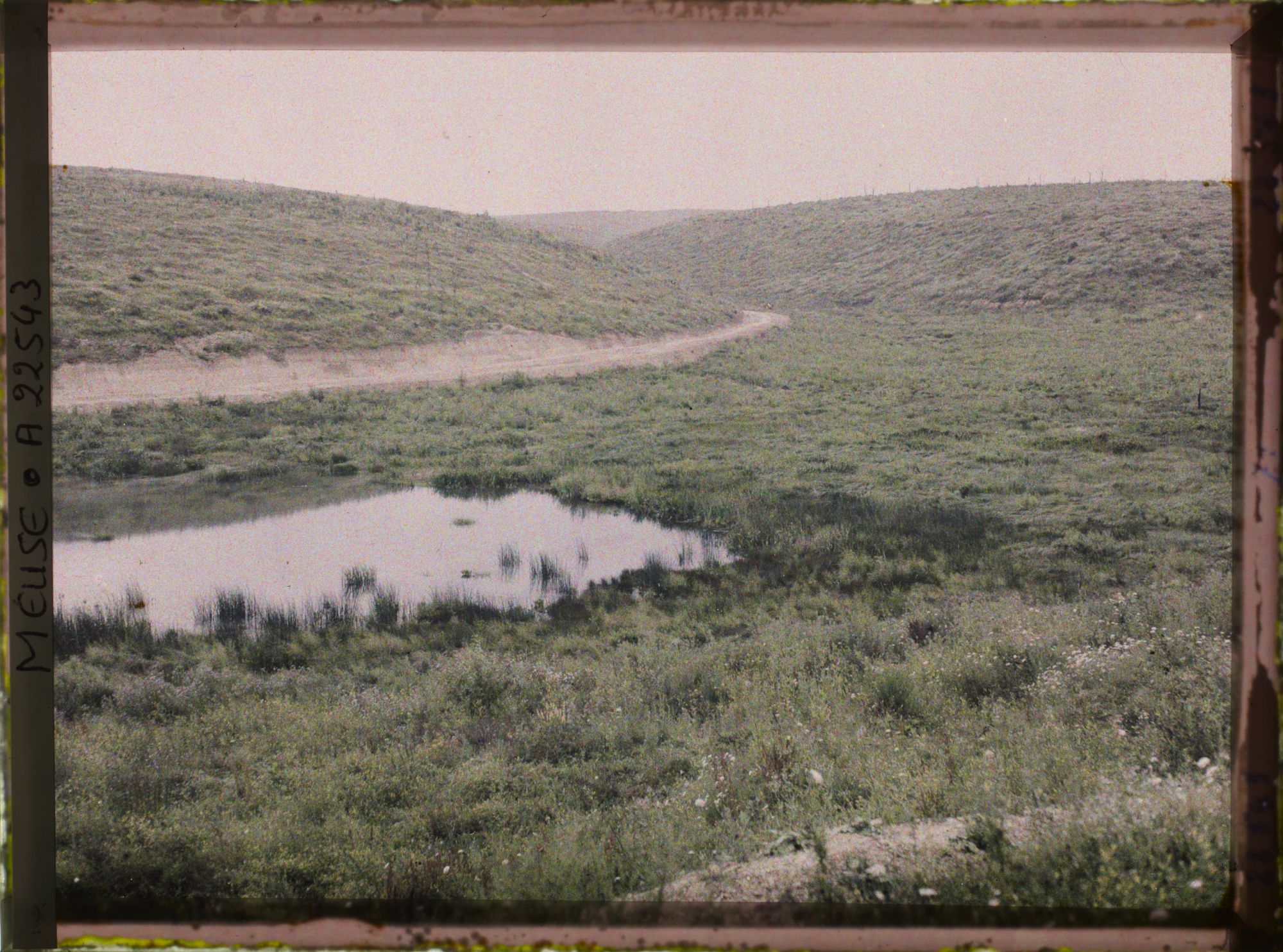 Image représentant France, Vaux, Etang de Vaux, bois Fumin et bois Chenois