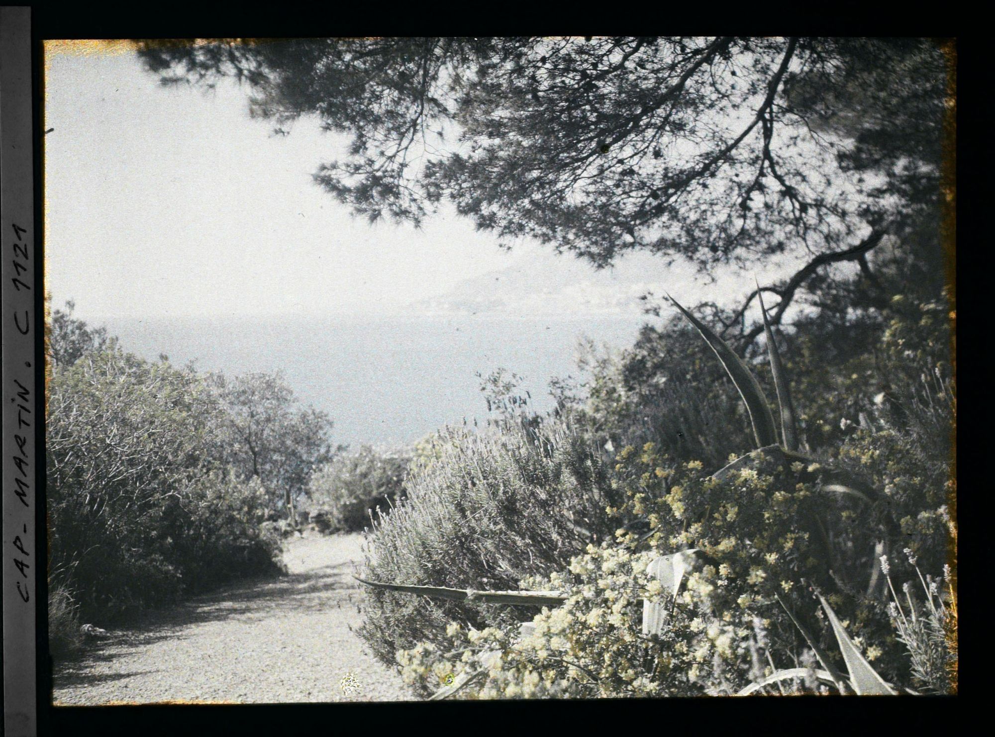 Image représentant le Jardin vue sur Menton