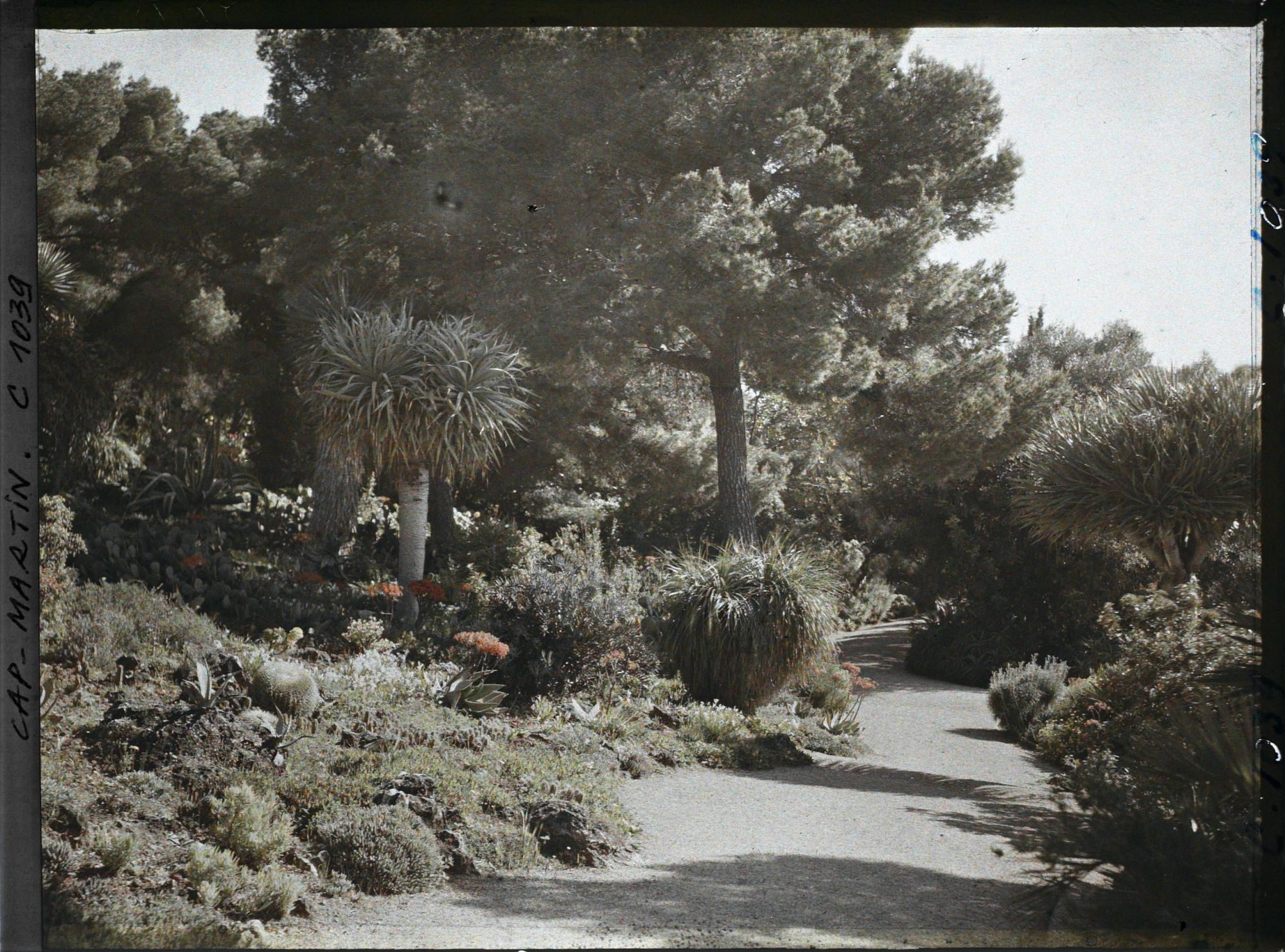 Image représentant Le Jardin
