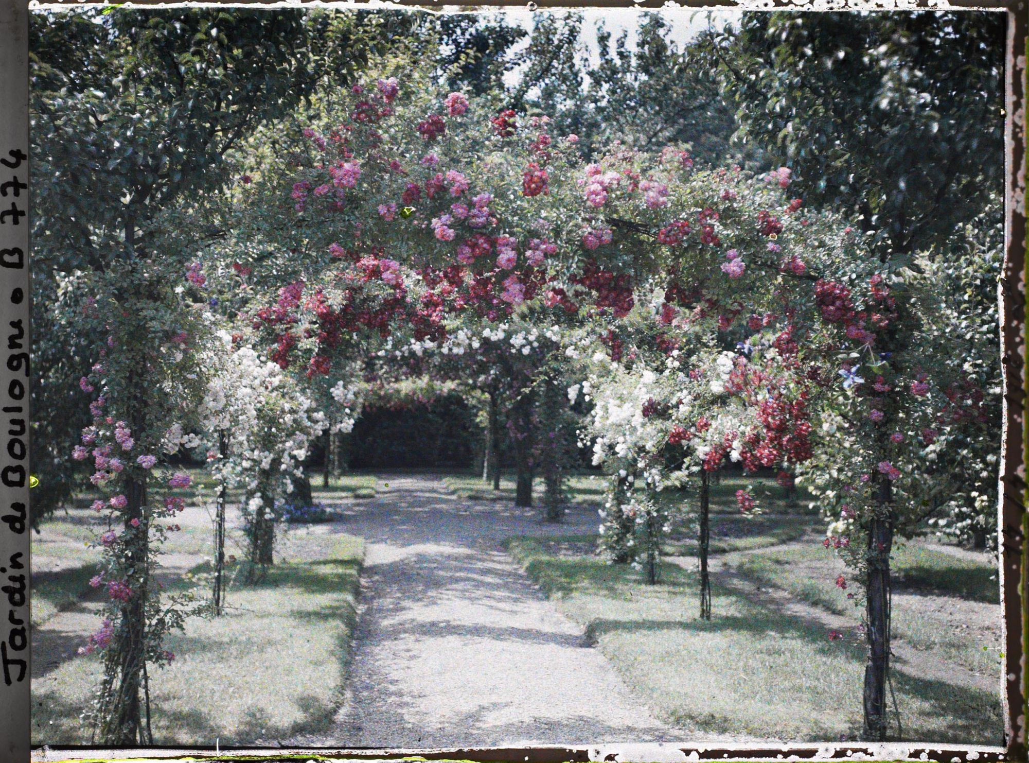 Image représentant Axe central du verger-roseraie vu en direction du rond-point situé à proximité de la dépendance